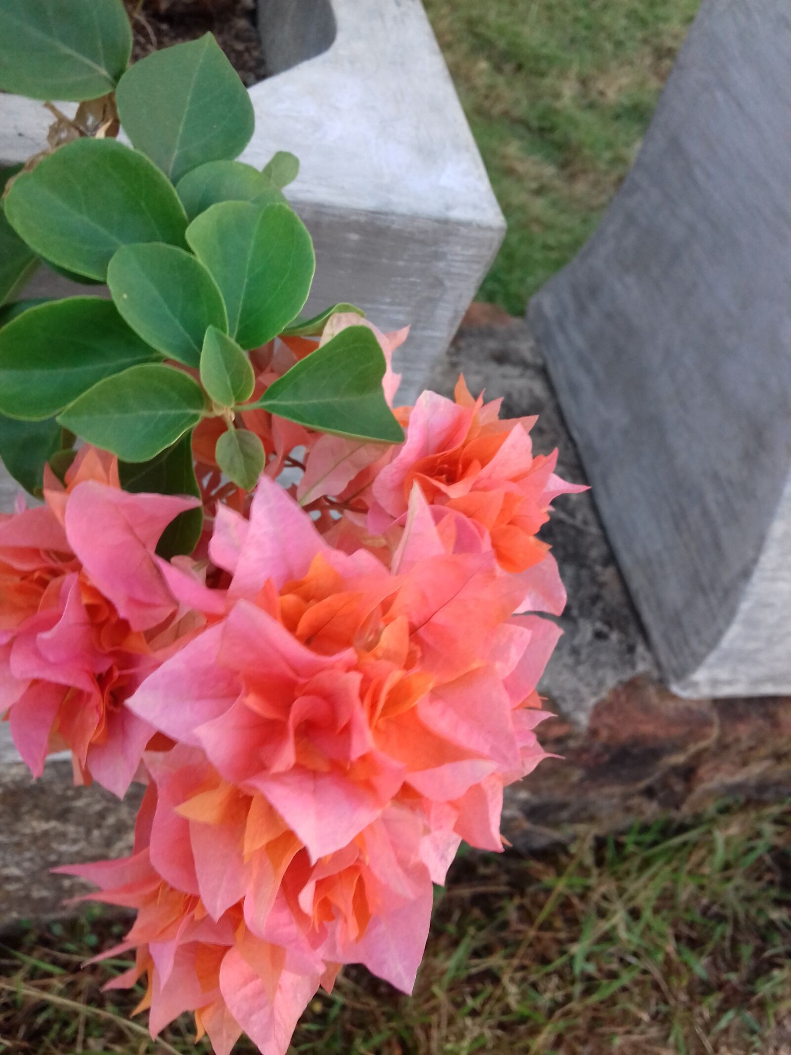 Samsung Galaxy J3(2016) sample photo