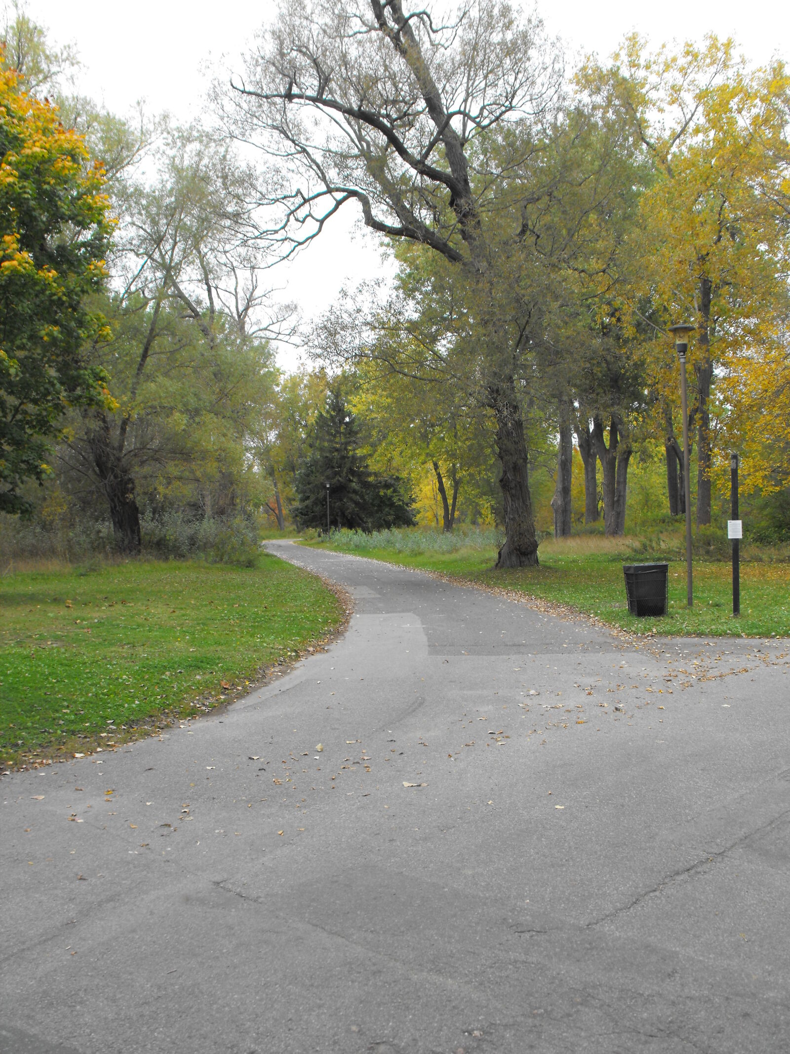 Fujifilm FinePix S1000fd sample photo. Canada, ontario, park, toronto photography