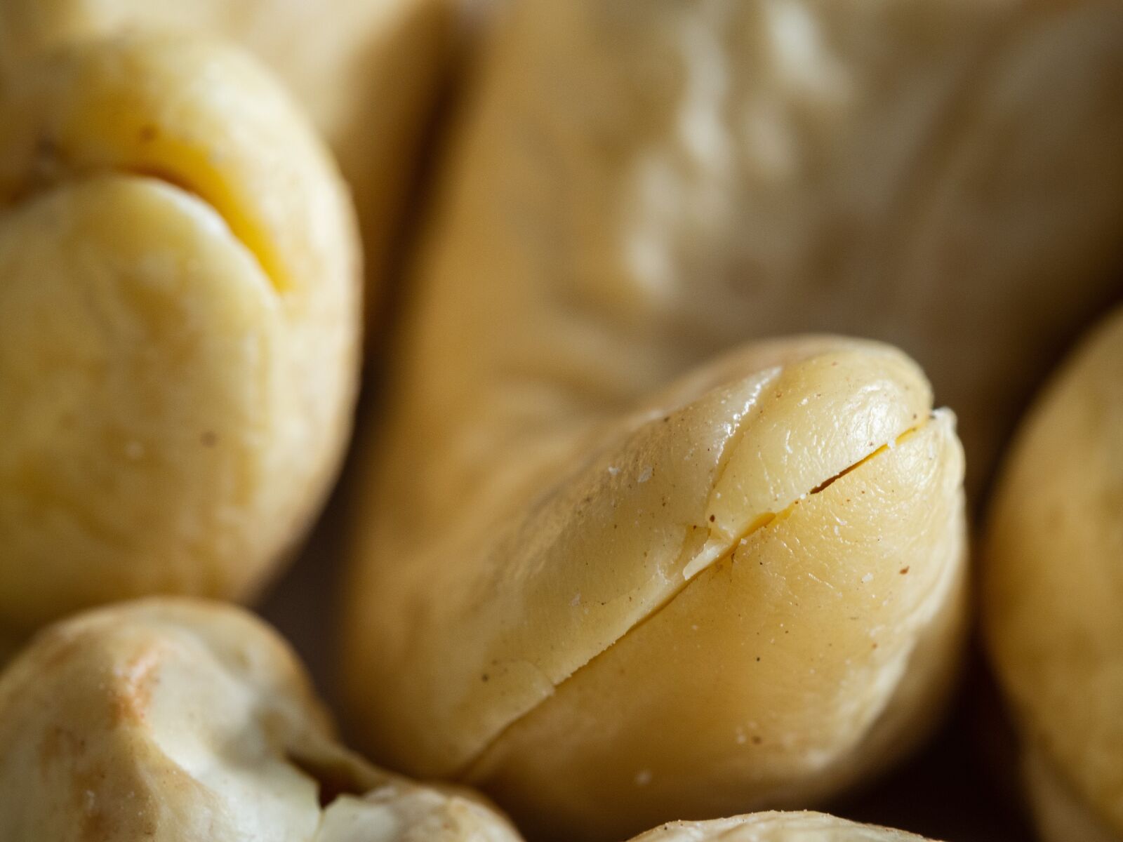 Olympus OM-D E-M10 III sample photo. Cashew, nuts, nutrition photography