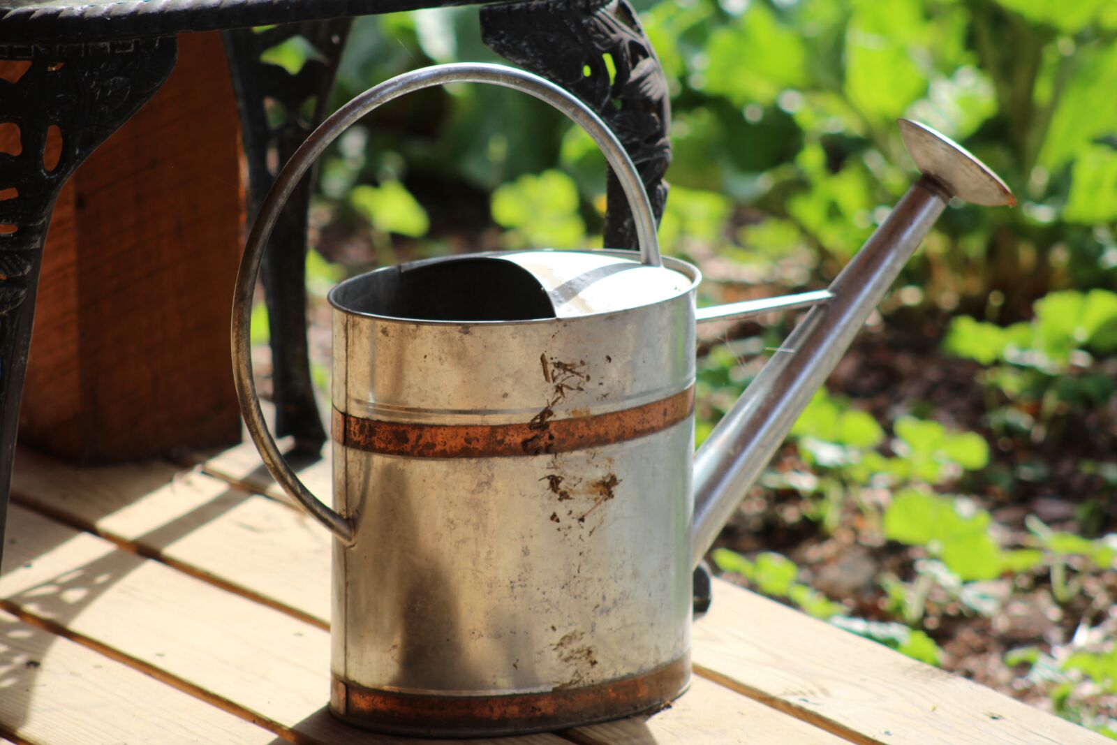 Canon EF 75-300mm f/4-5.6 sample photo. Watering can, garden, water photography