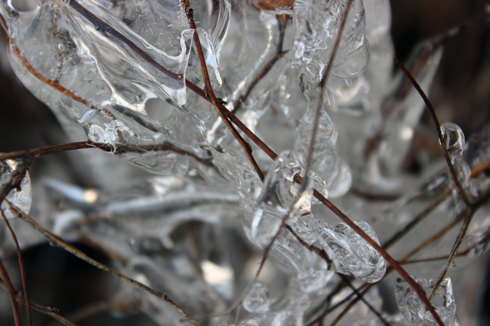 Canon EOS 550D (EOS Rebel T2i / EOS Kiss X4) sample photo. Ice, cold, nature photography