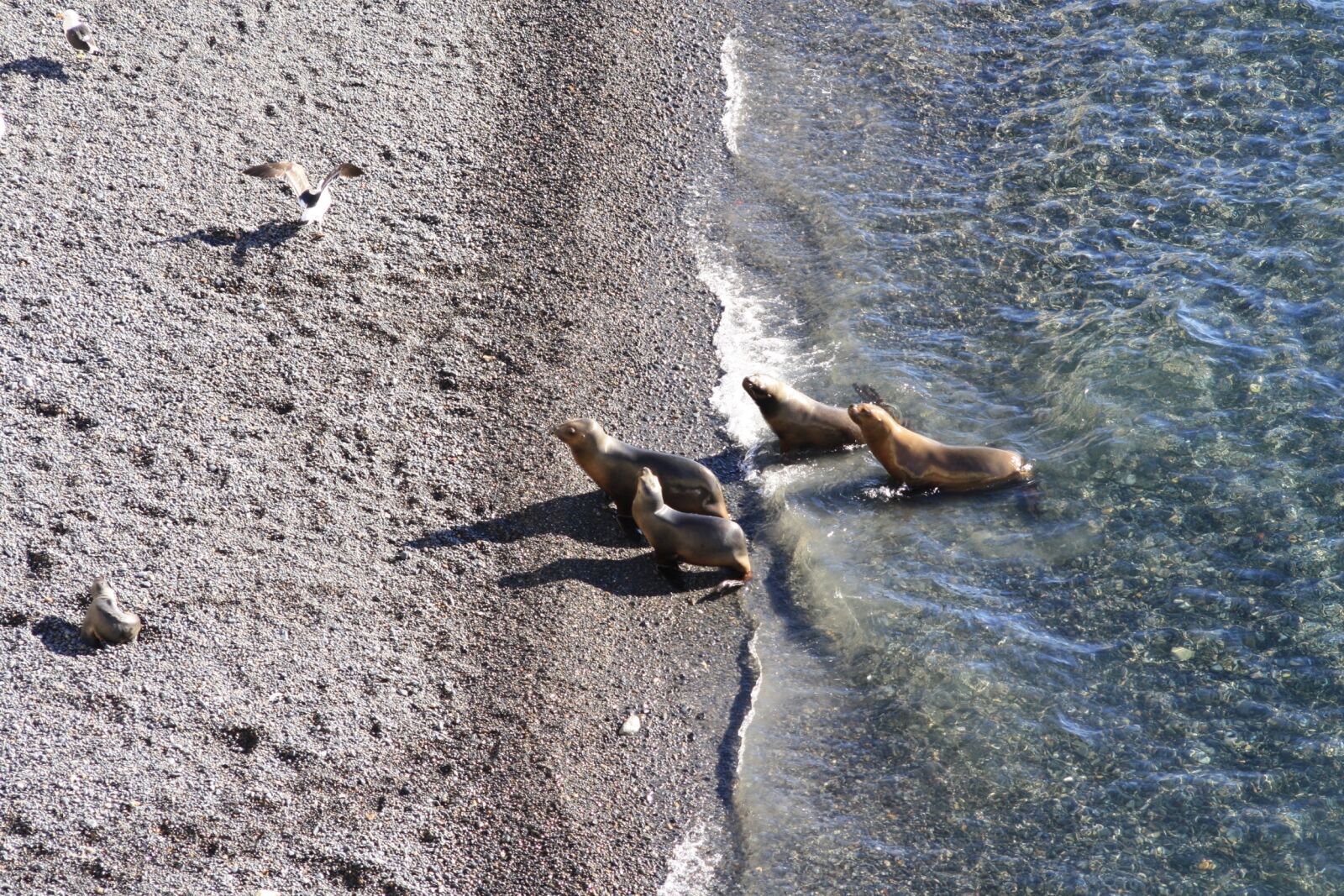 Canon EOS 1000D (EOS Digital Rebel XS / EOS Kiss F) sample photo. Body of water, beach photography
