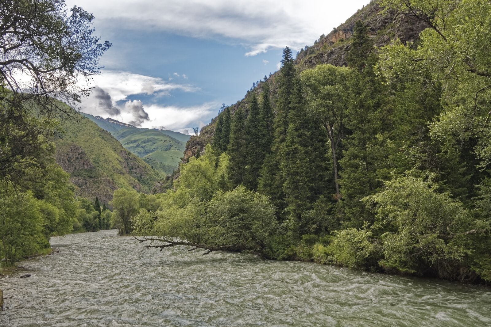 Nikon D500 sample photo. Kyrgyzstan, chychkan river, tschytschkan photography
