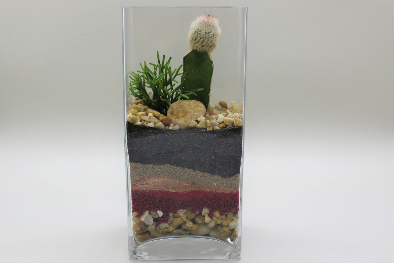 Canon EOS 1200D (EOS Rebel T5 / EOS Kiss X70 / EOS Hi) sample photo. Cactus, sand, nature photography
