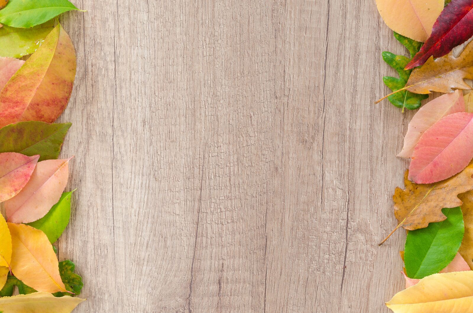 Nikon D5100 sample photo. Autumn, orange, nature photography