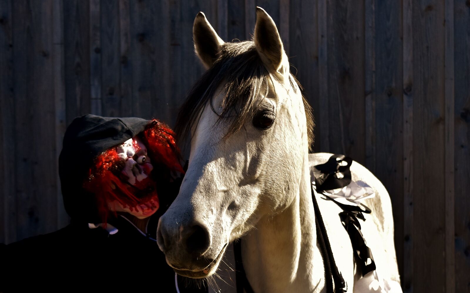 Nikon D7200 sample photo. Halloween, bloody, horror clown photography