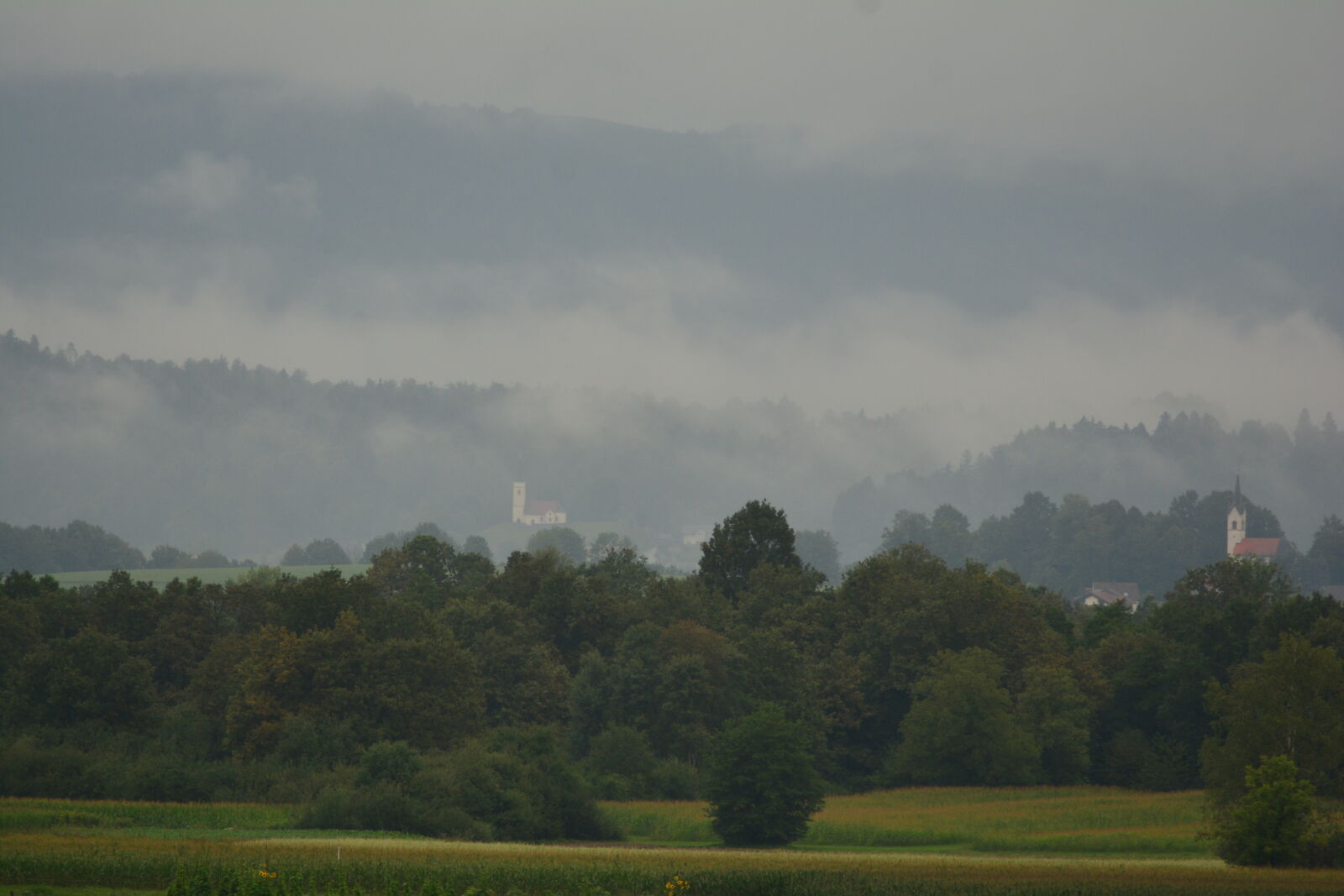 Nikon D7100 sample photo