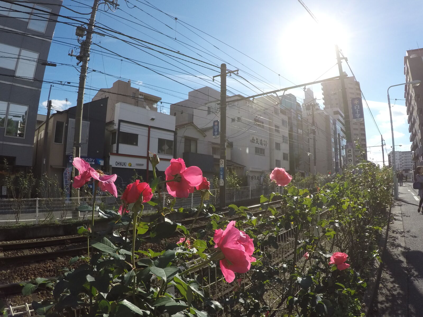 GoPro HERO4 Silver sample photo. Flowers, tokyo, train photography