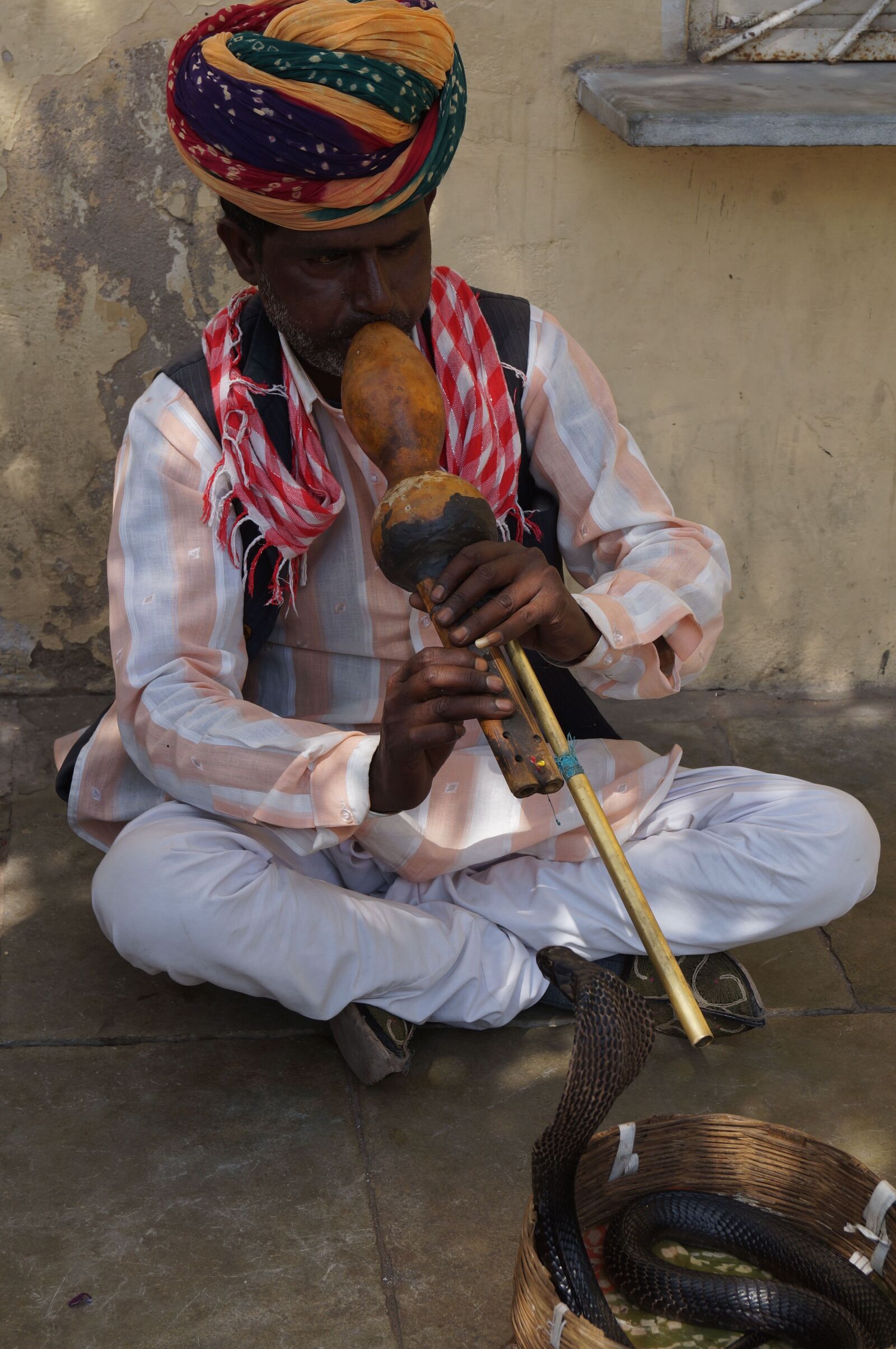 Sony SLT-A57 sample photo. India, snake, charmer photography