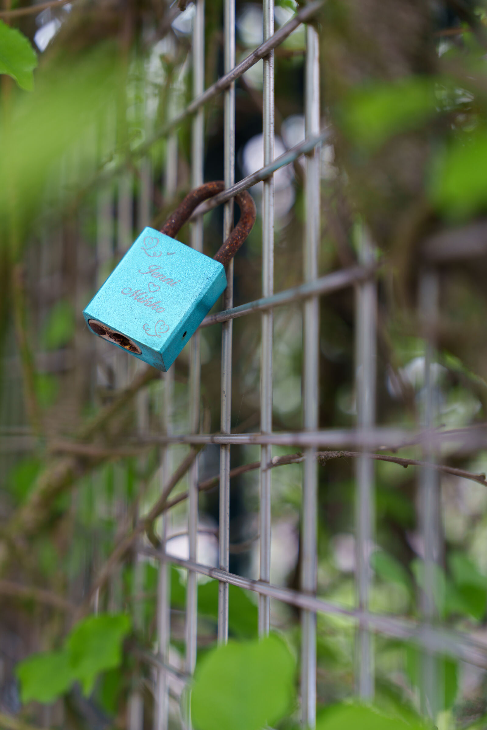 Sony a7R V sample photo. Padlock fence photography