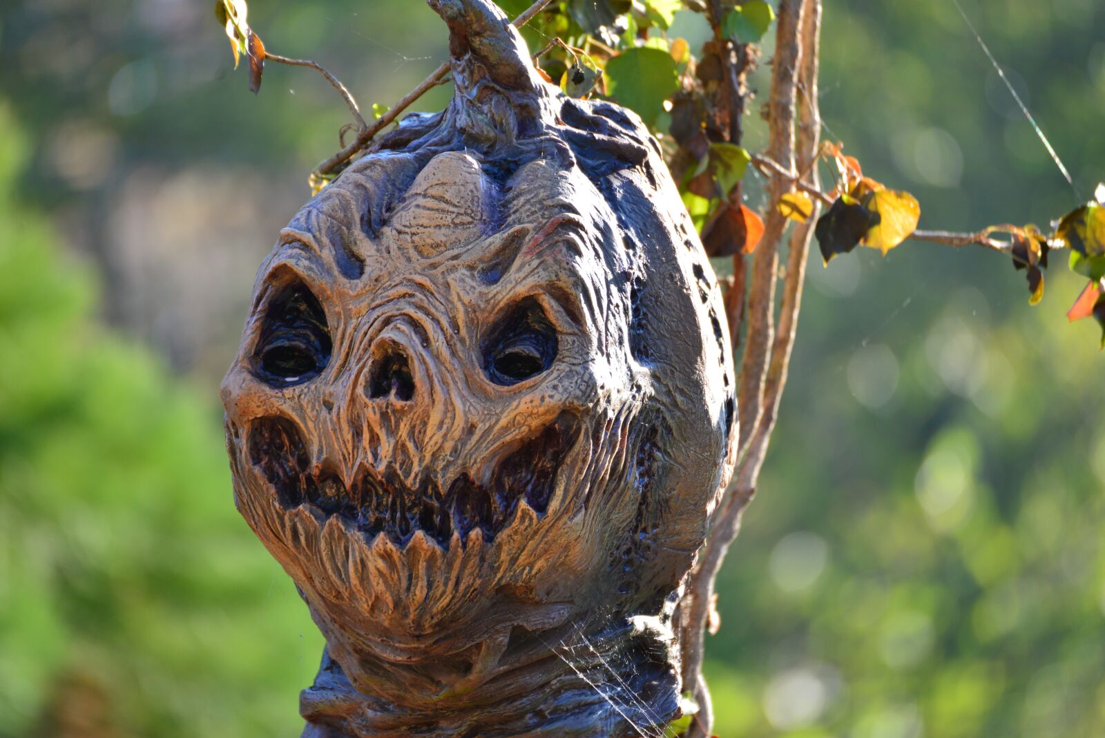 Nikon D610 sample photo. Halloween, pumpkin, look photography