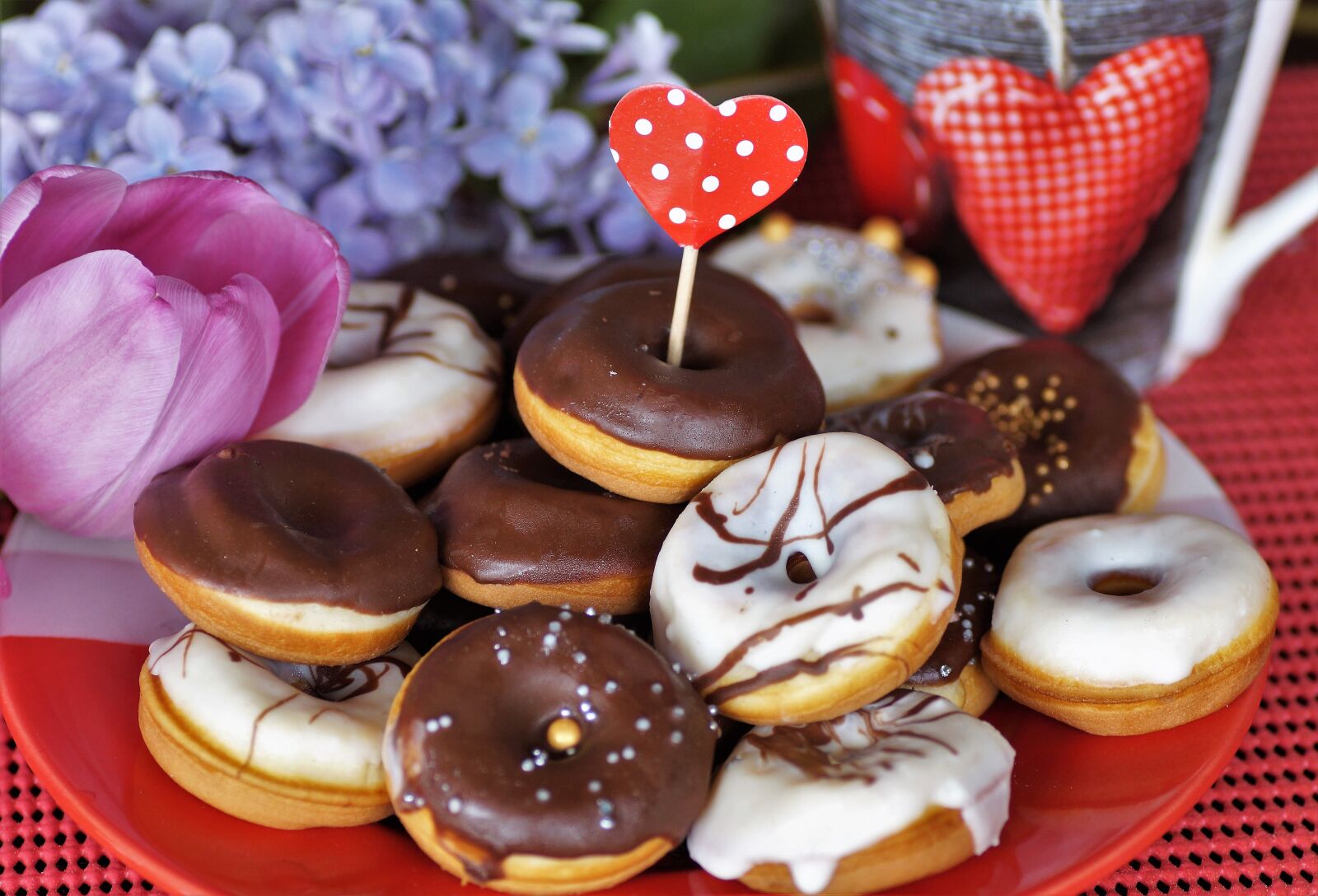 Sony SLT-A58 sample photo. Mini, donuts, home photography