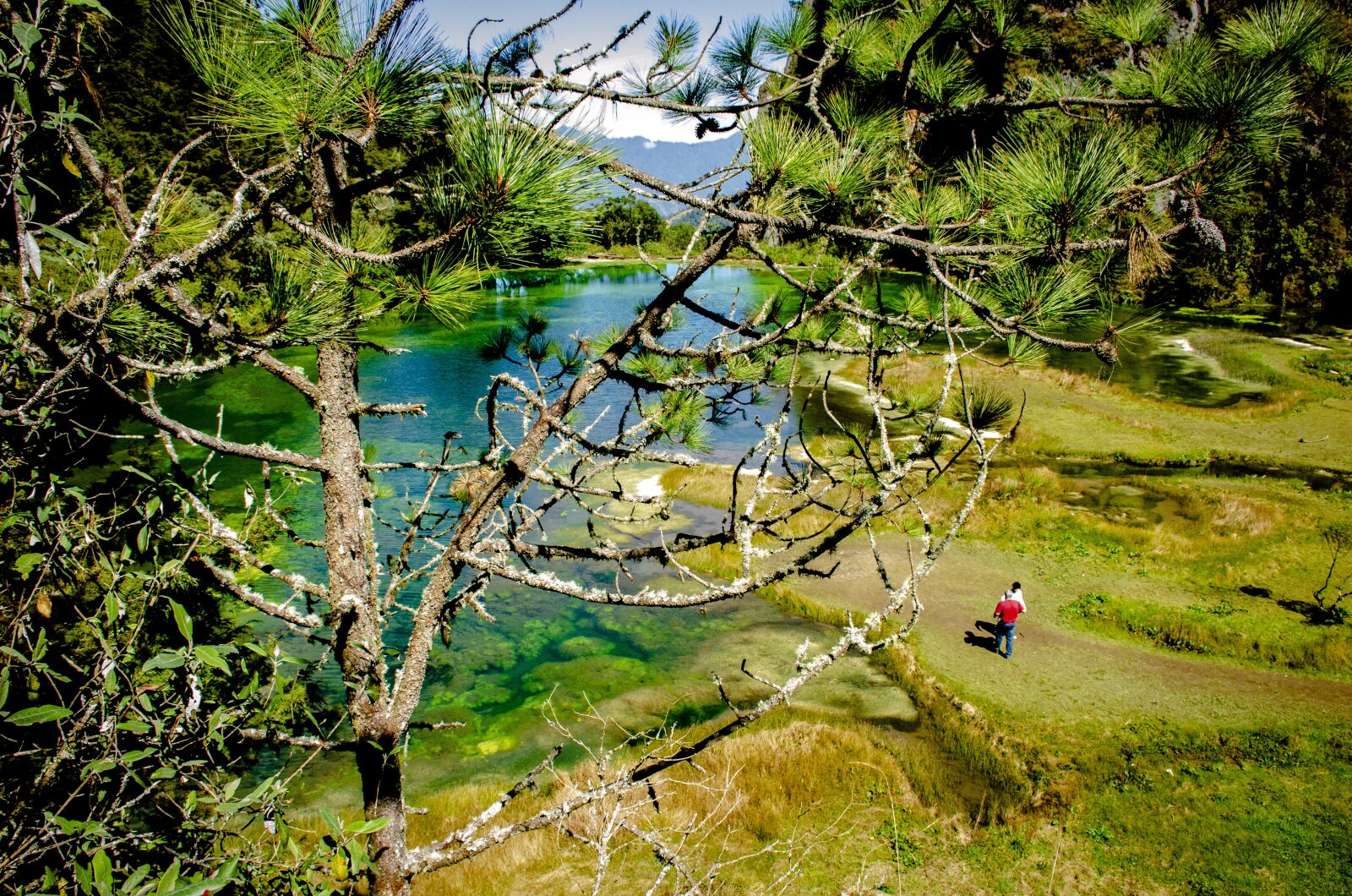 Nikon D7000 sample photo. Nature, lagoon, paradise photography