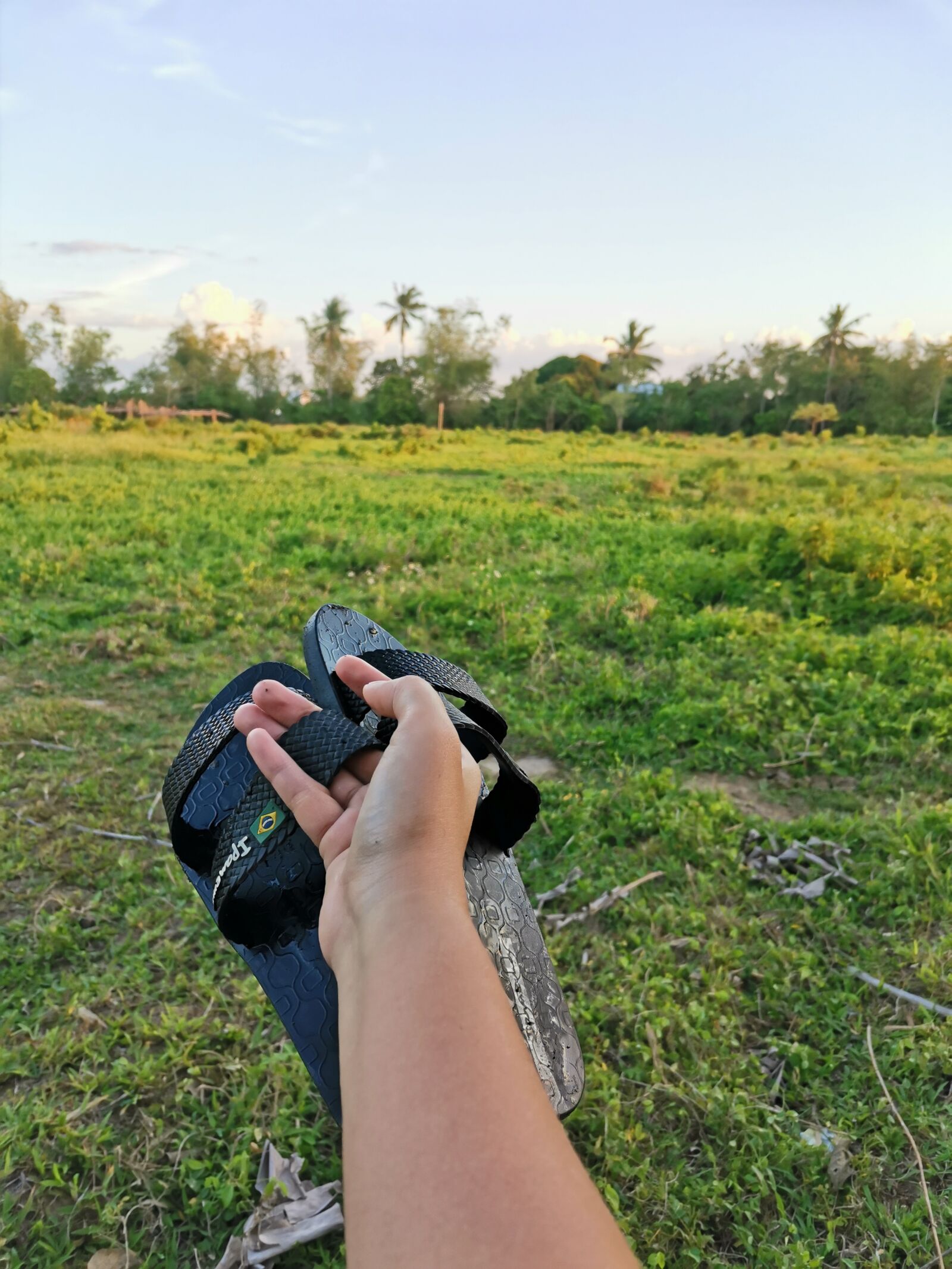 HUAWEI YAL-L21 sample photo. Travel, green, nature photography
