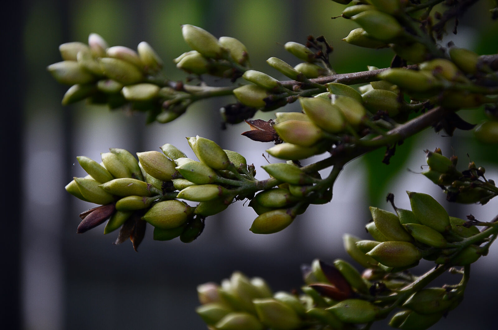 Nikon D5100 sample photo. Samsonov photography