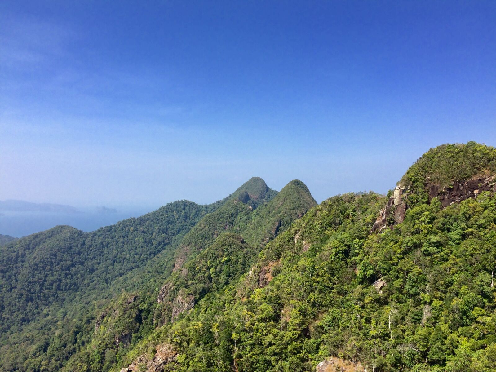 iPhone 5s back camera 4.15mm f/2.2 sample photo. Jungle, langkawi, mountains photography