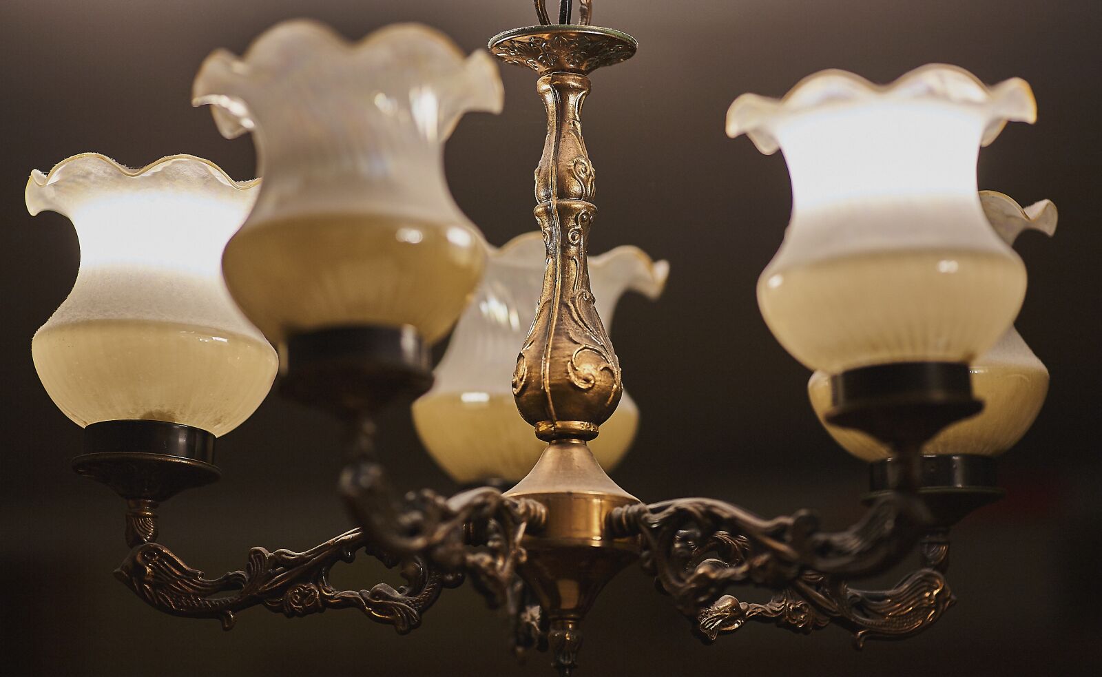 Canon EF 135mm F2L USM sample photo. Light, chandelier, lighting photography