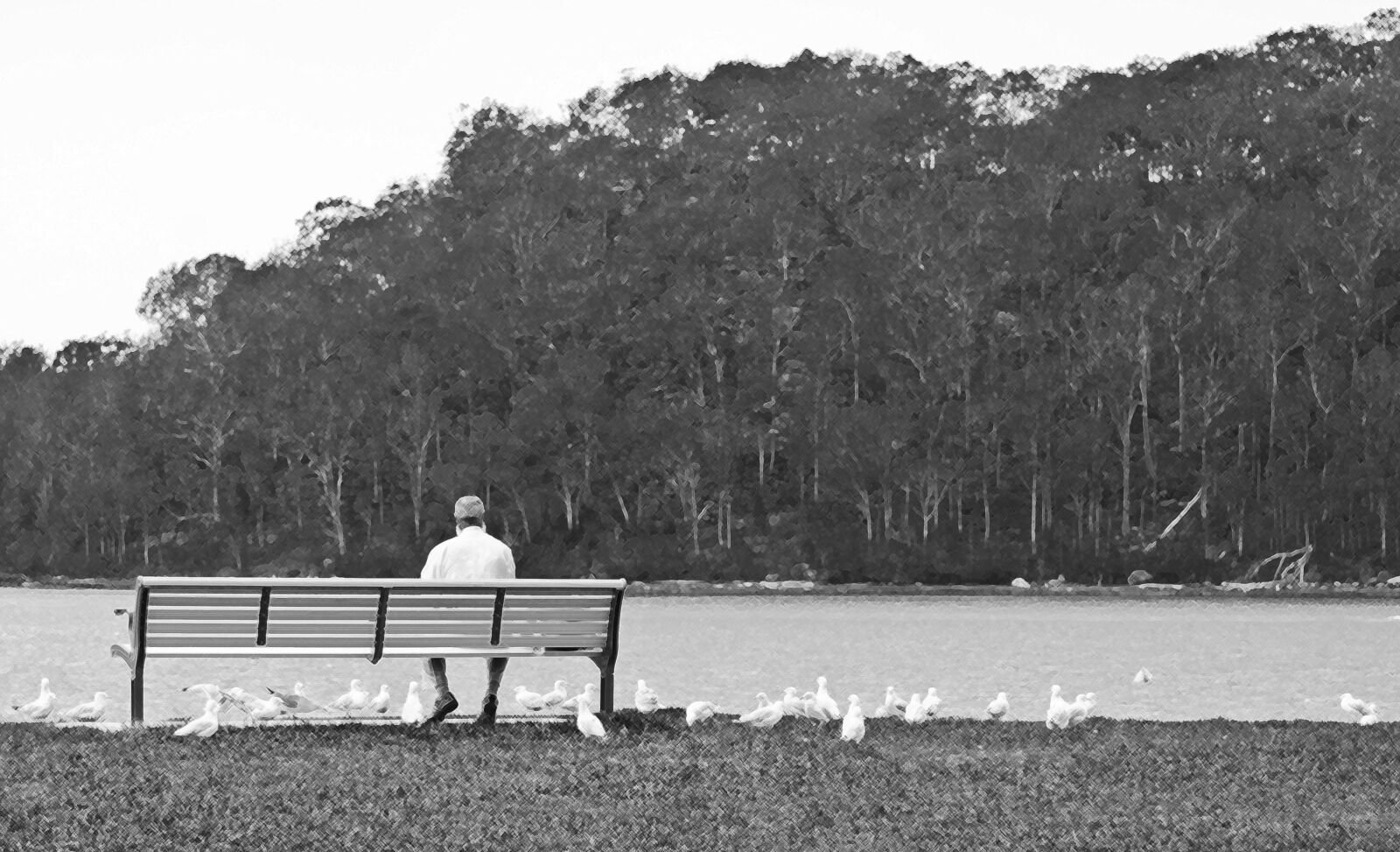 Nikon D7000 sample photo. Man, bench, gulls photography