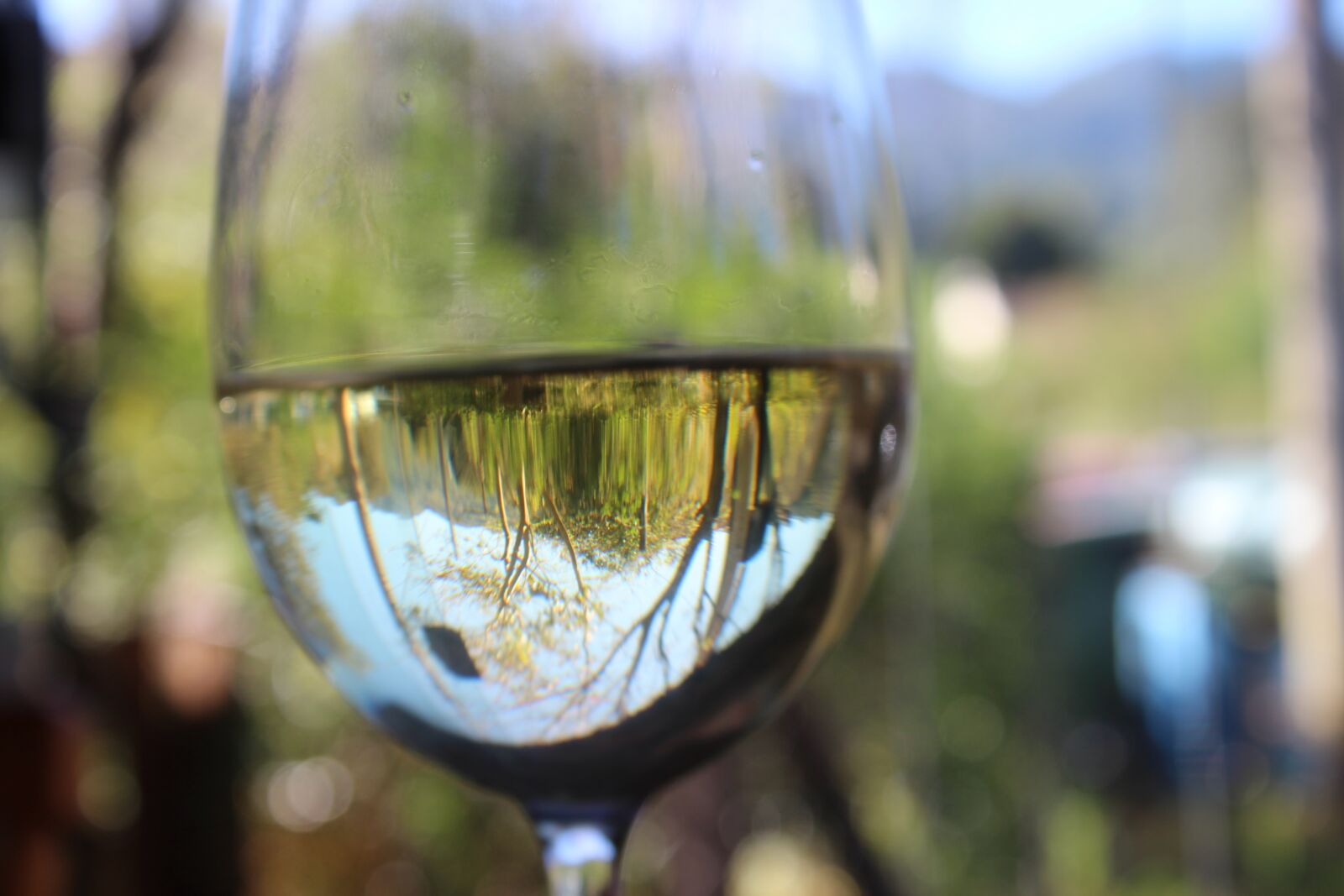 Canon EOS 1200D (EOS Rebel T5 / EOS Kiss X70 / EOS Hi) sample photo. Wine, white wine, glass photography