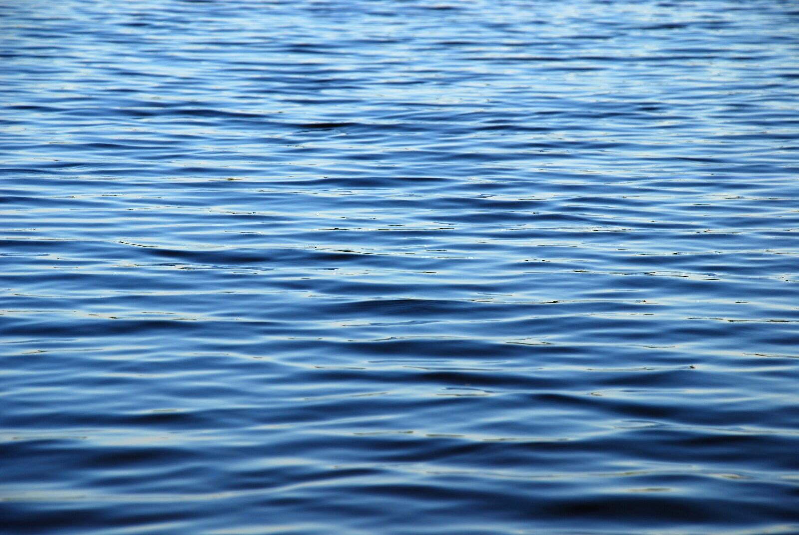 Nikon D80 sample photo. Water, waves, sea photography
