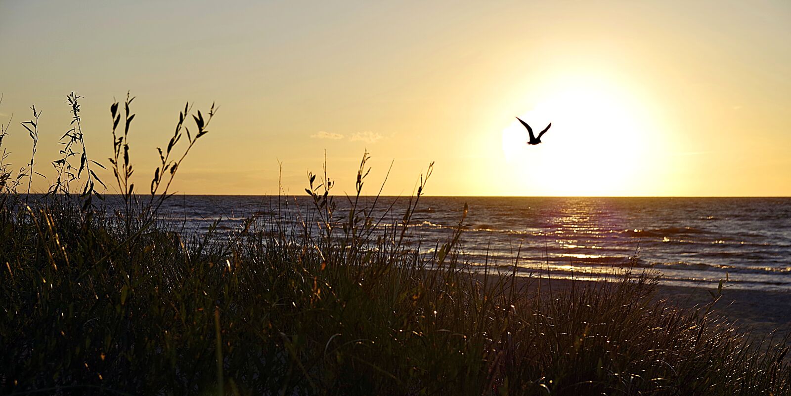Pentax K-S2 sample photo. Beach, can, sunset photography