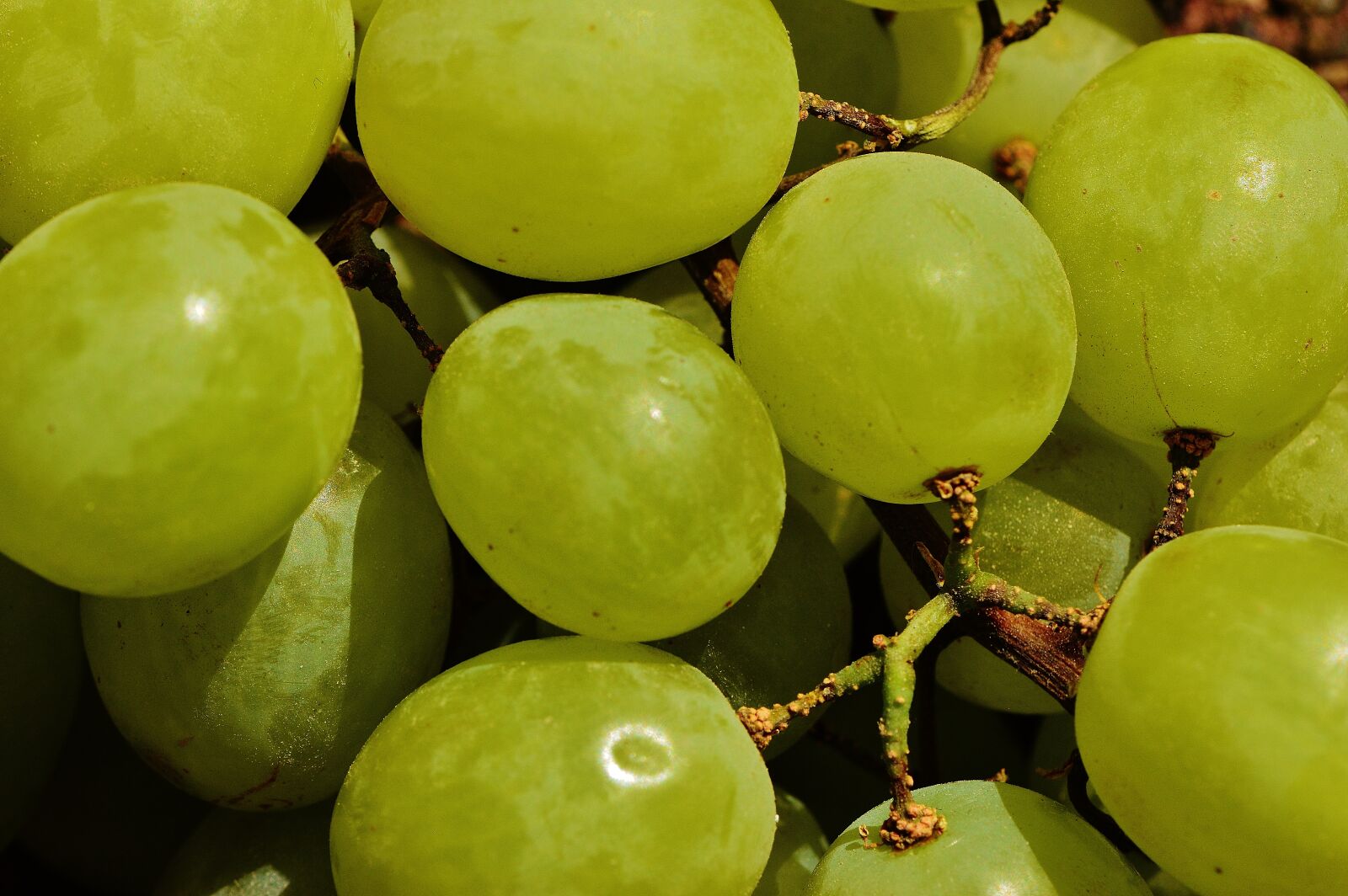 Nikon D3200 sample photo. Grapes, fruit, table grapes photography
