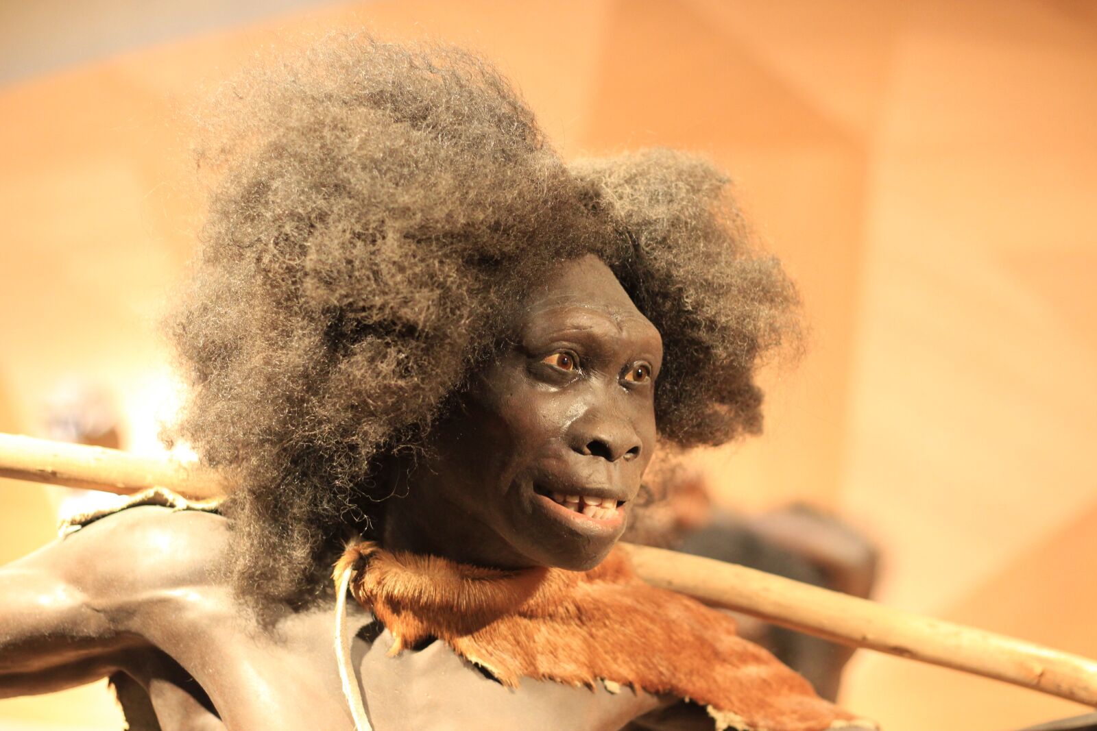 Canon EOS 700D (EOS Rebel T5i / EOS Kiss X7i) + Canon EF 50mm F1.8 STM sample photo. Neanderthal, stone age, caveman photography