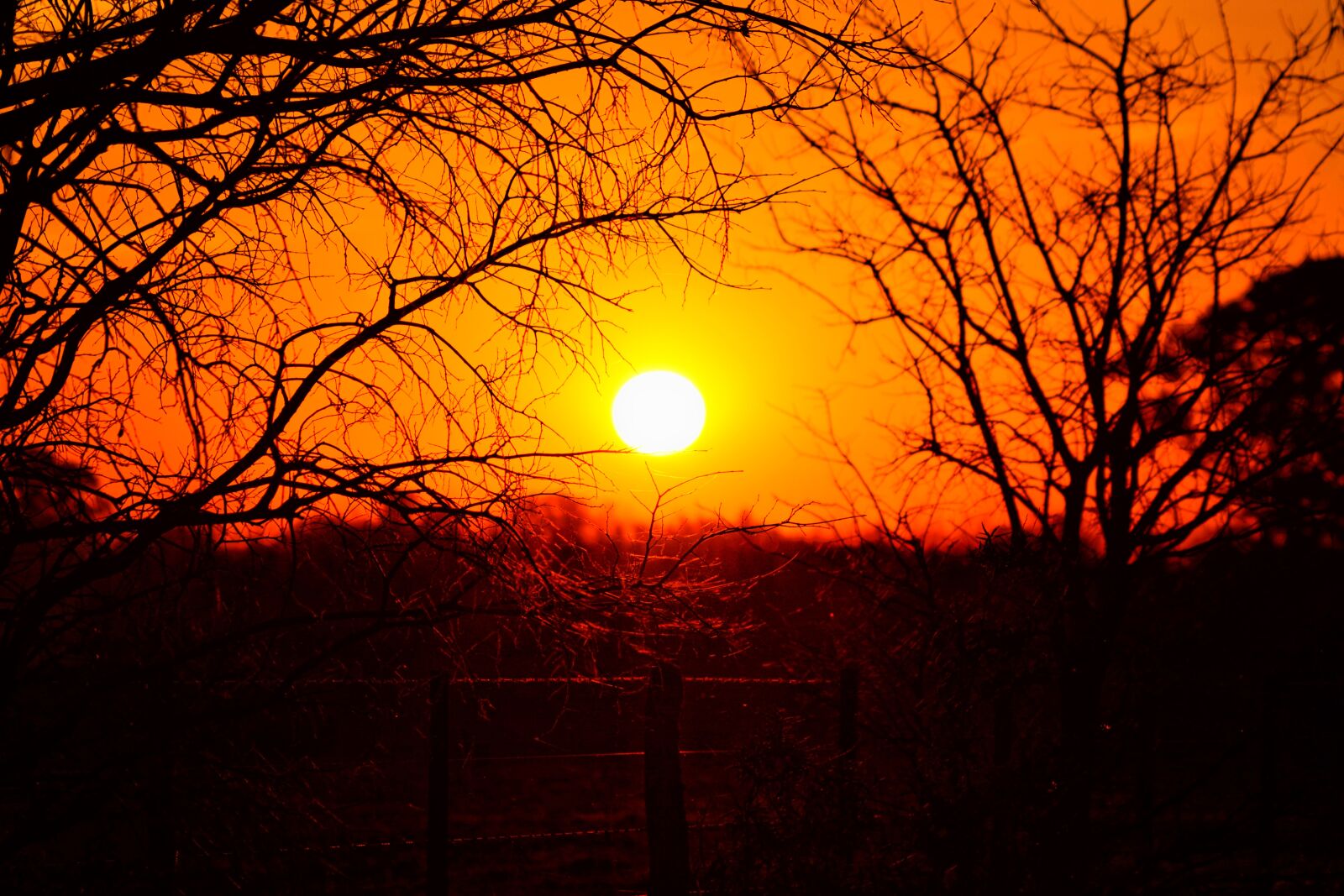 Nikon D5200 sample photo. Sun, sunset, nature photography