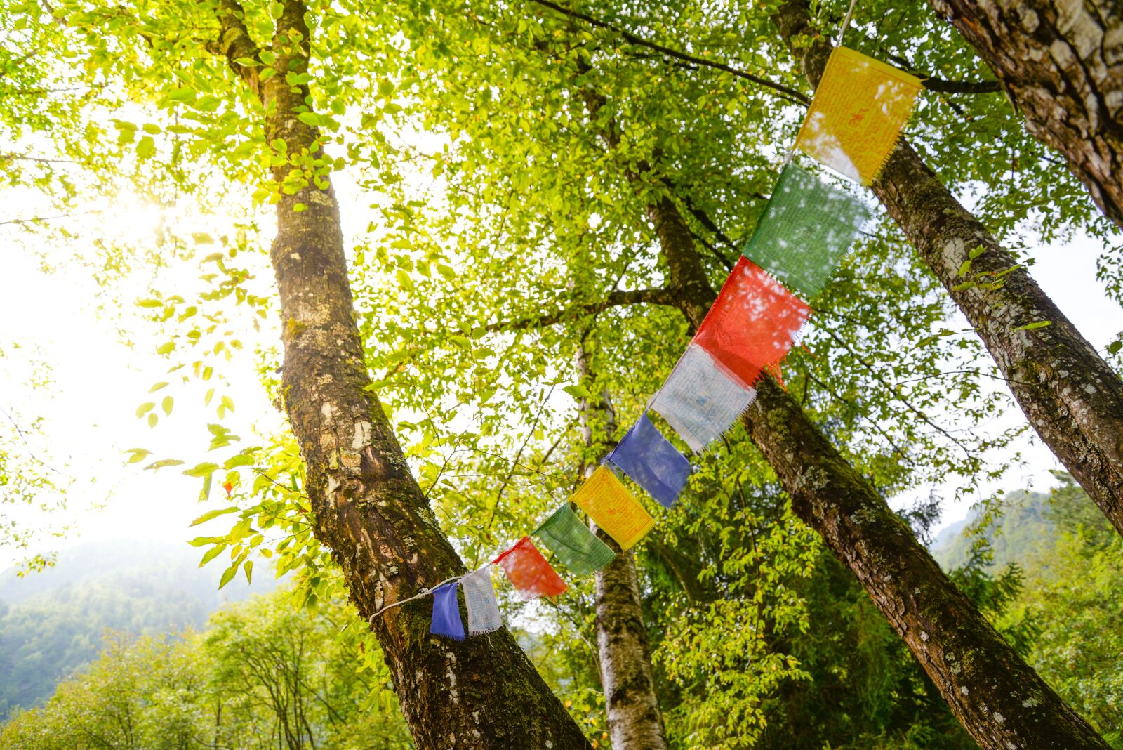 Nikon D610 sample photo. Tibet, flags, buddhism photography