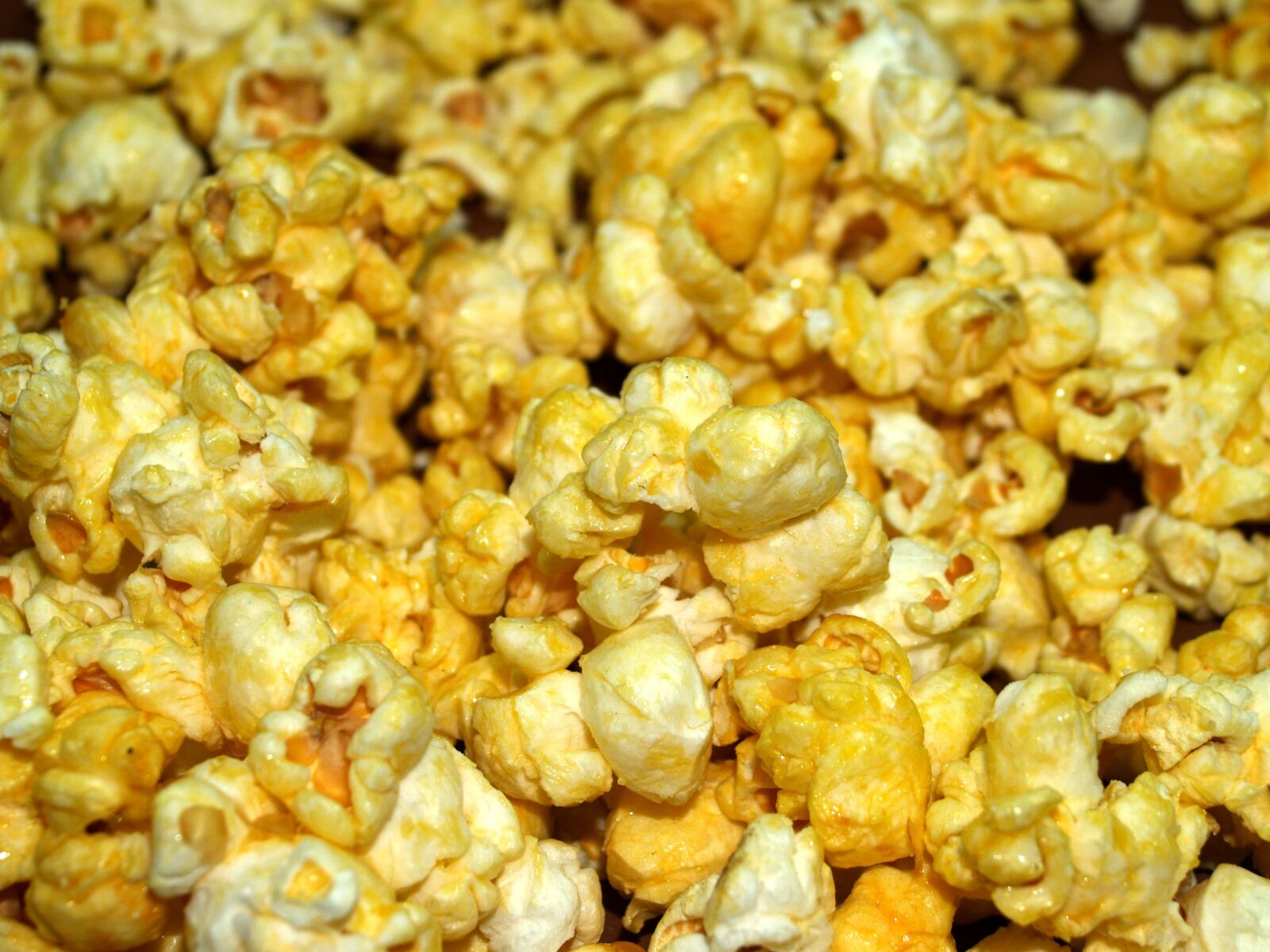 Olympus E-300 (EVOLT E-300) sample photo. Popcorn, corn, pop photography