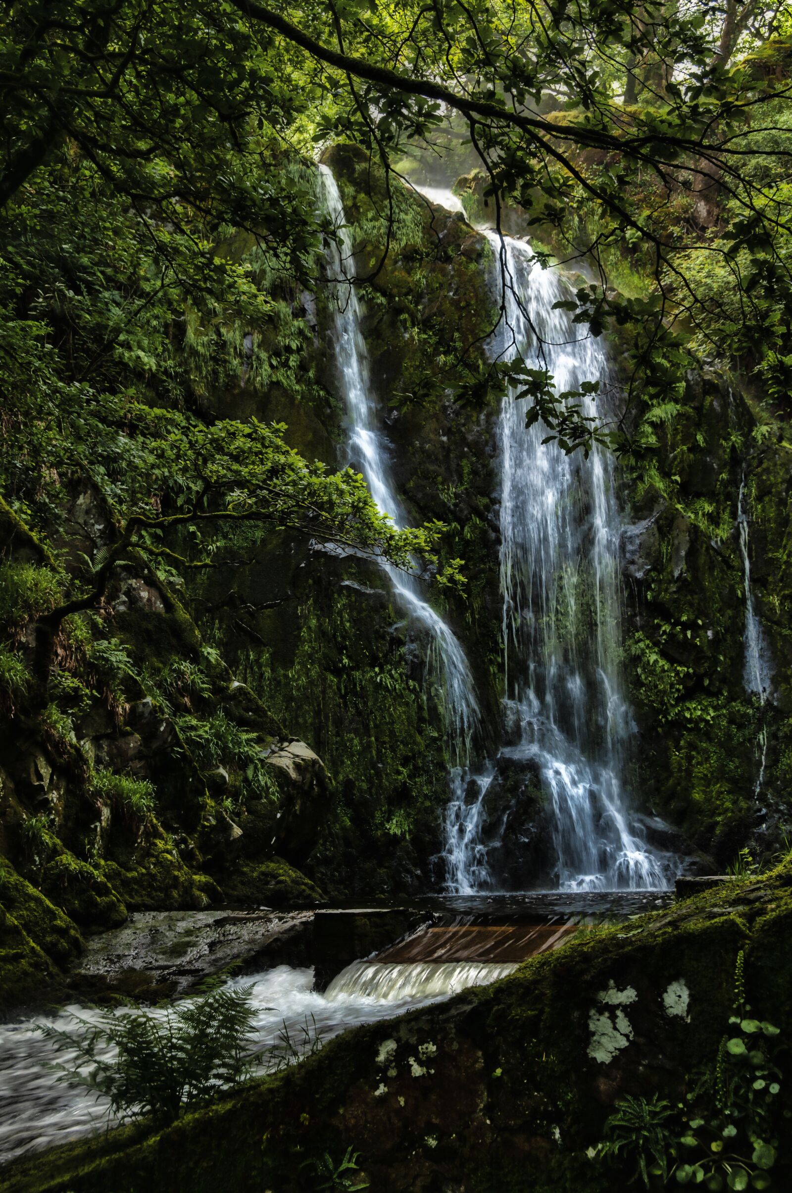 Nikon D300S sample photo. Water, falls, woodland photography