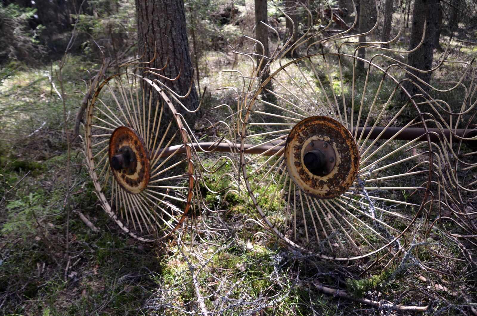 Nikon D5100 sample photo. Ultervattnet, gear, forest photography