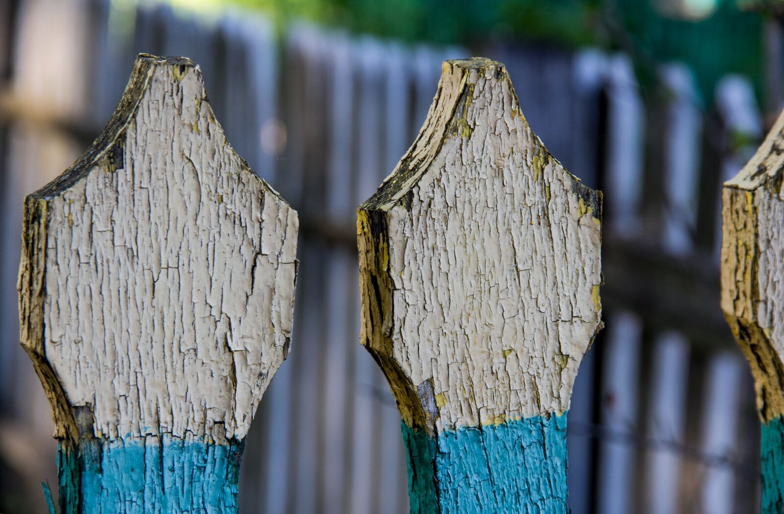 Canon EOS 60D sample photo. Ukraine, fence, paint photography