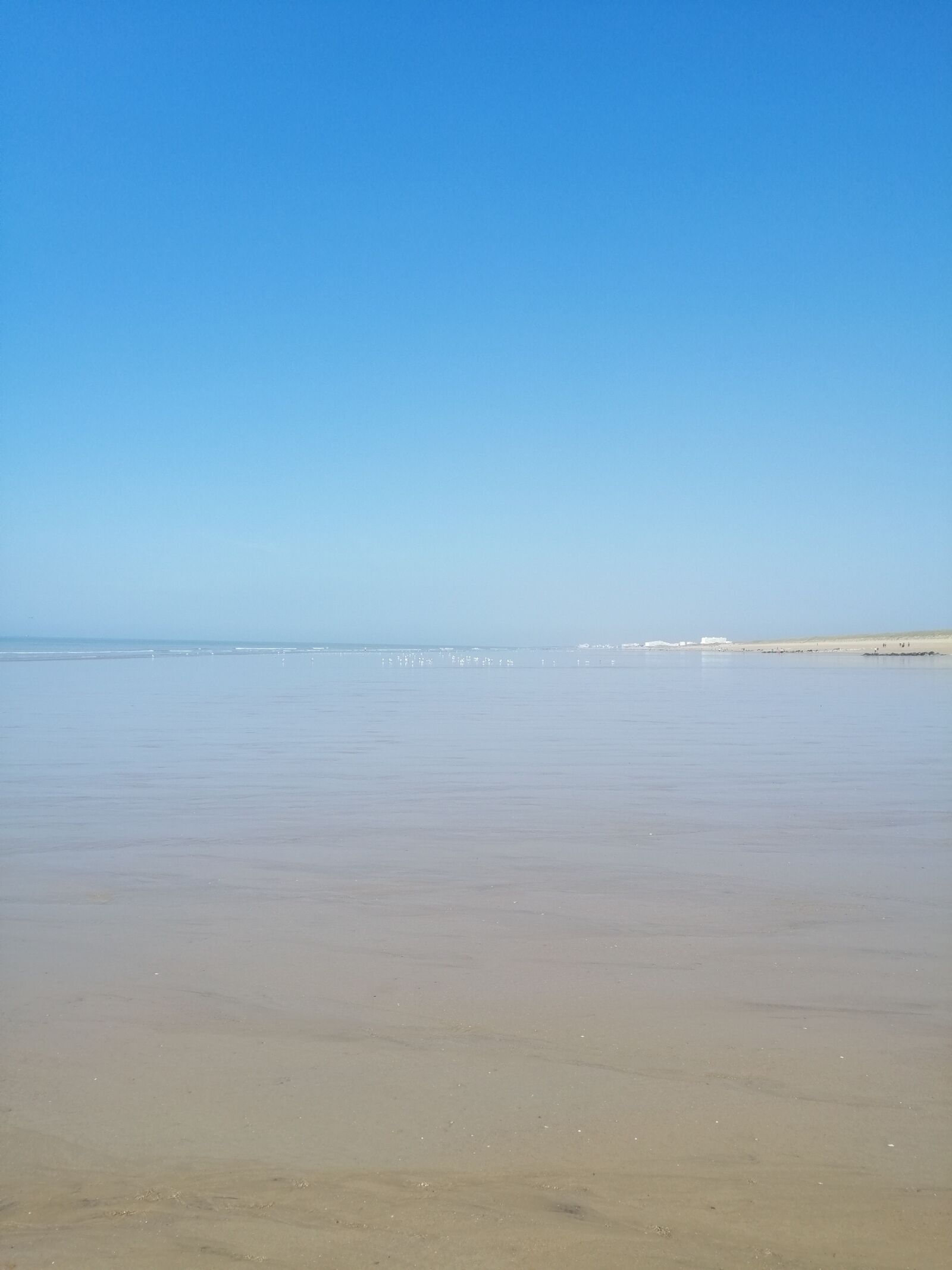 HUAWEI SNE-LX1 sample photo. Horizon, blue, sky photography