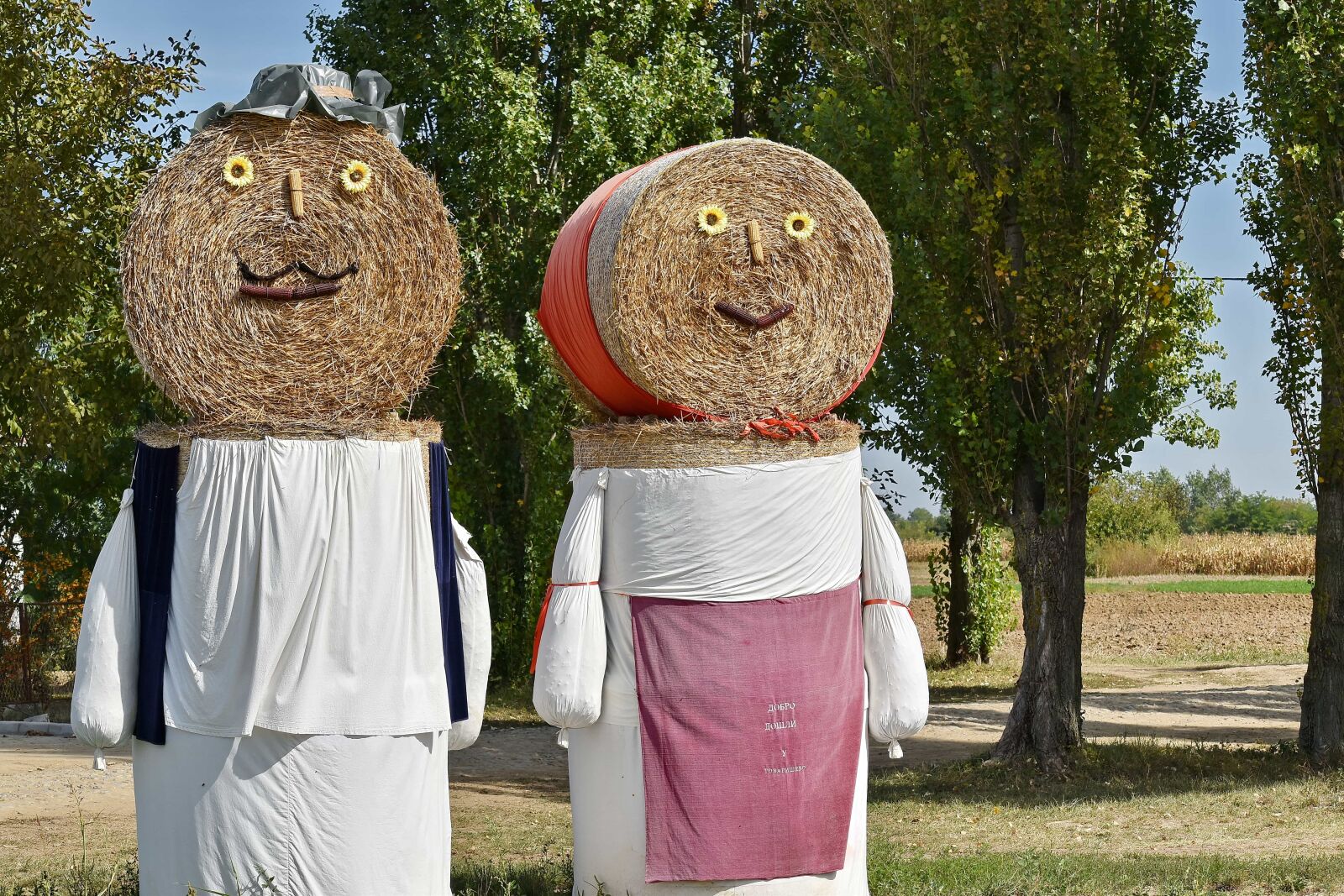 Nikon D5500 sample photo. Decoration, funny, hay, hay photography