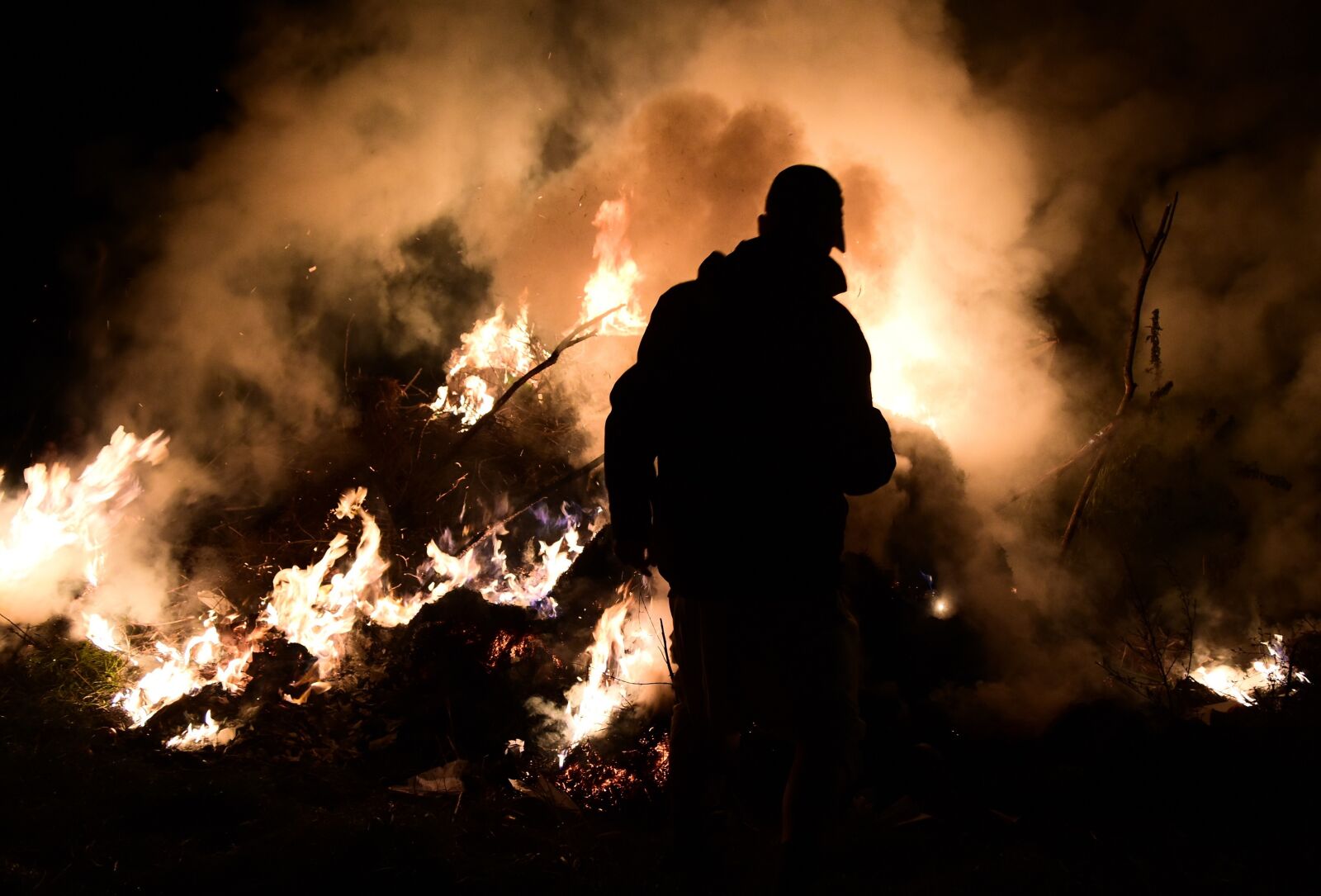 Nikon D5500 sample photo. Fire, burns, flame photography