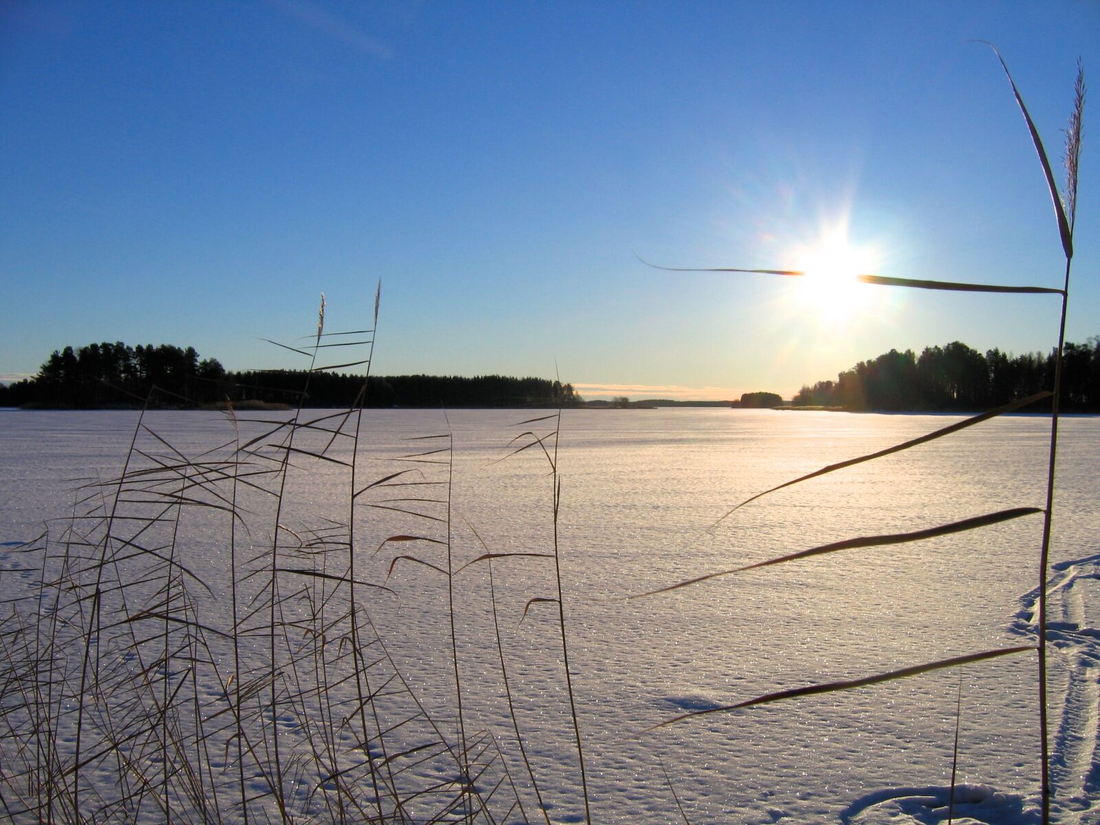 Canon POWERSHOT A95 sample photo. Ice, lake, skate, winter photography