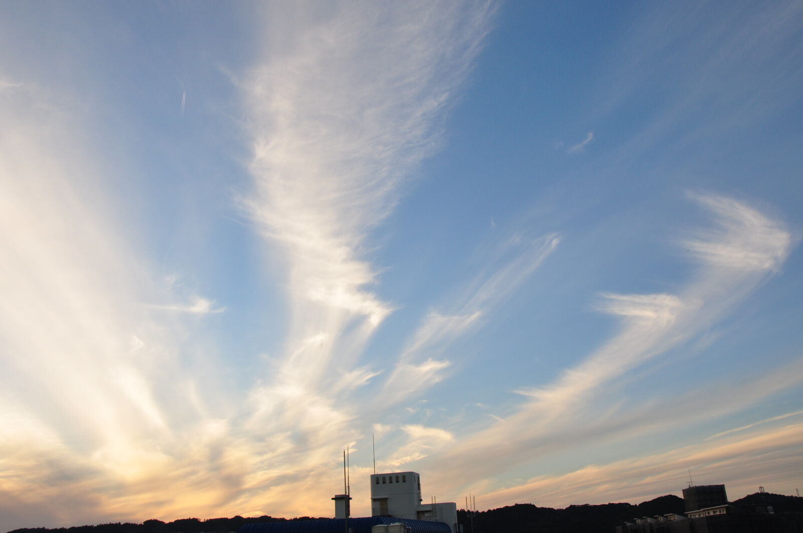 Nikon D90 sample photo