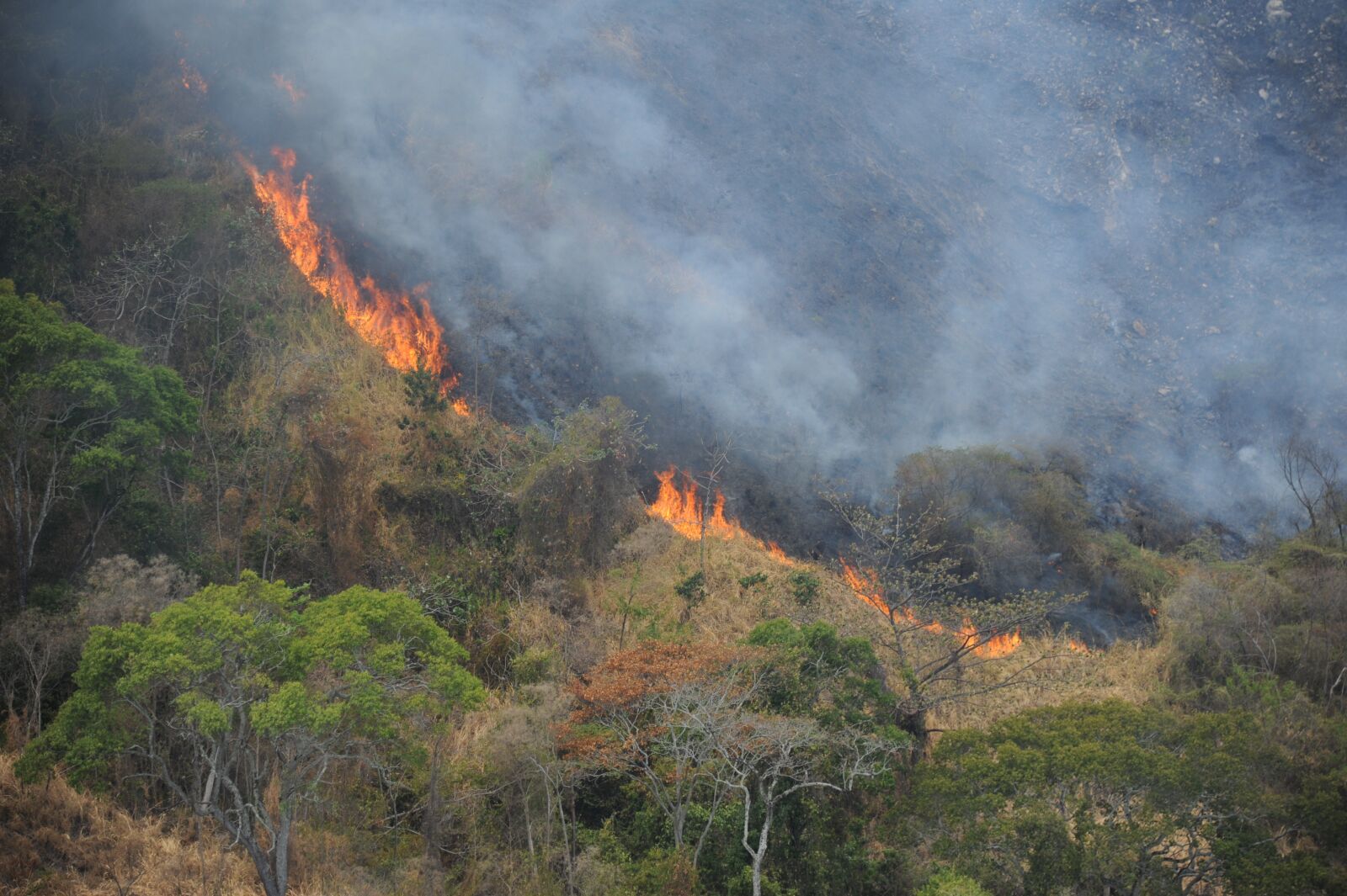 Nikon D700 sample photo. Mountain, fire, disaster photography