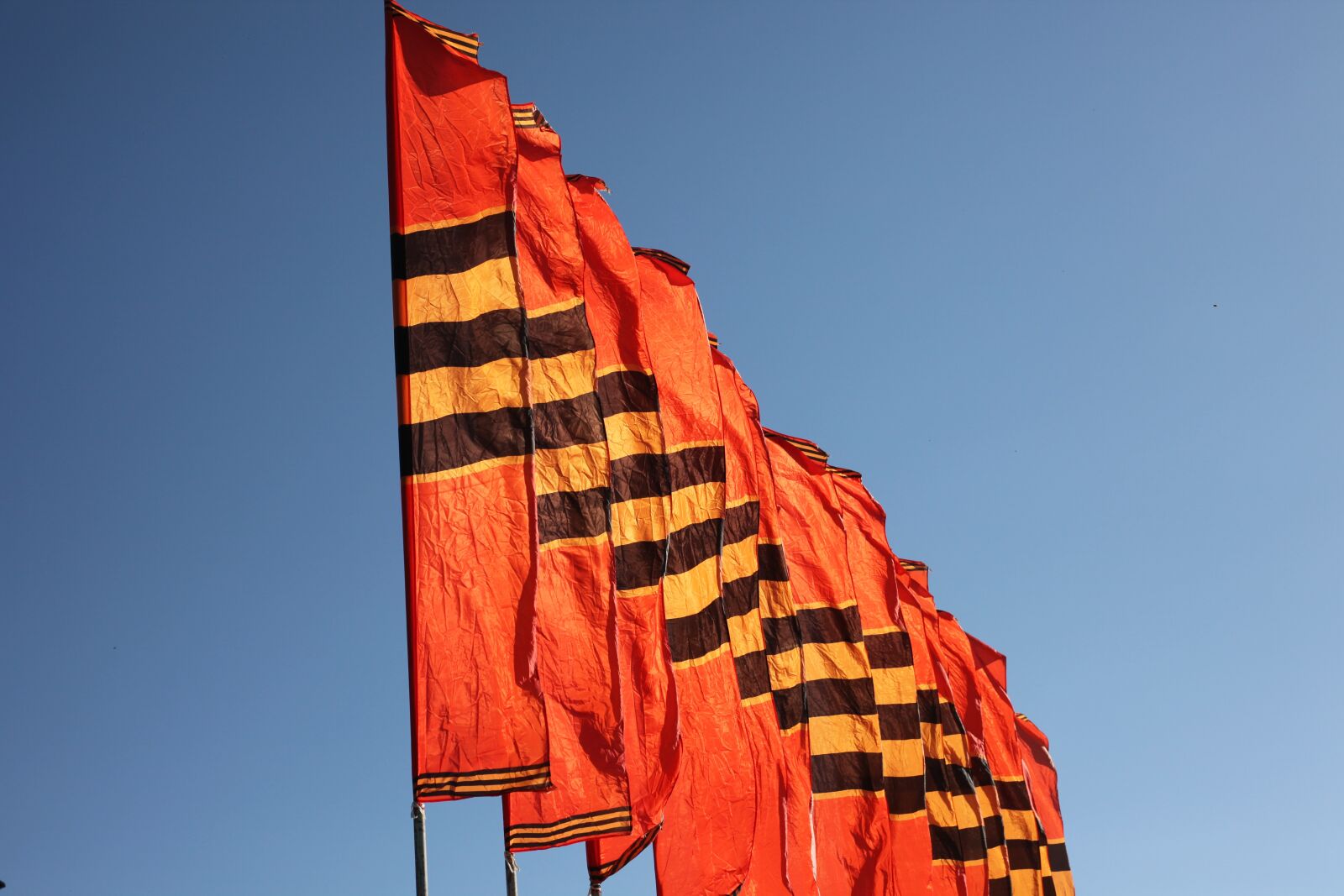 Canon EOS 5D Mark II sample photo. Flags, sky, victory day photography