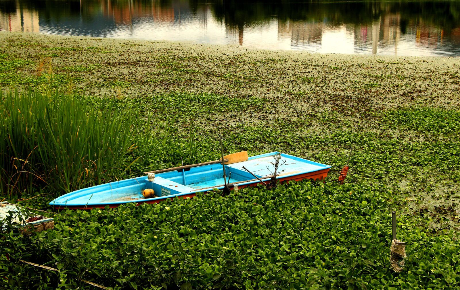 Canon EOS 100D (EOS Rebel SL1 / EOS Kiss X7) sample photo. Landscape, nature, lake photography