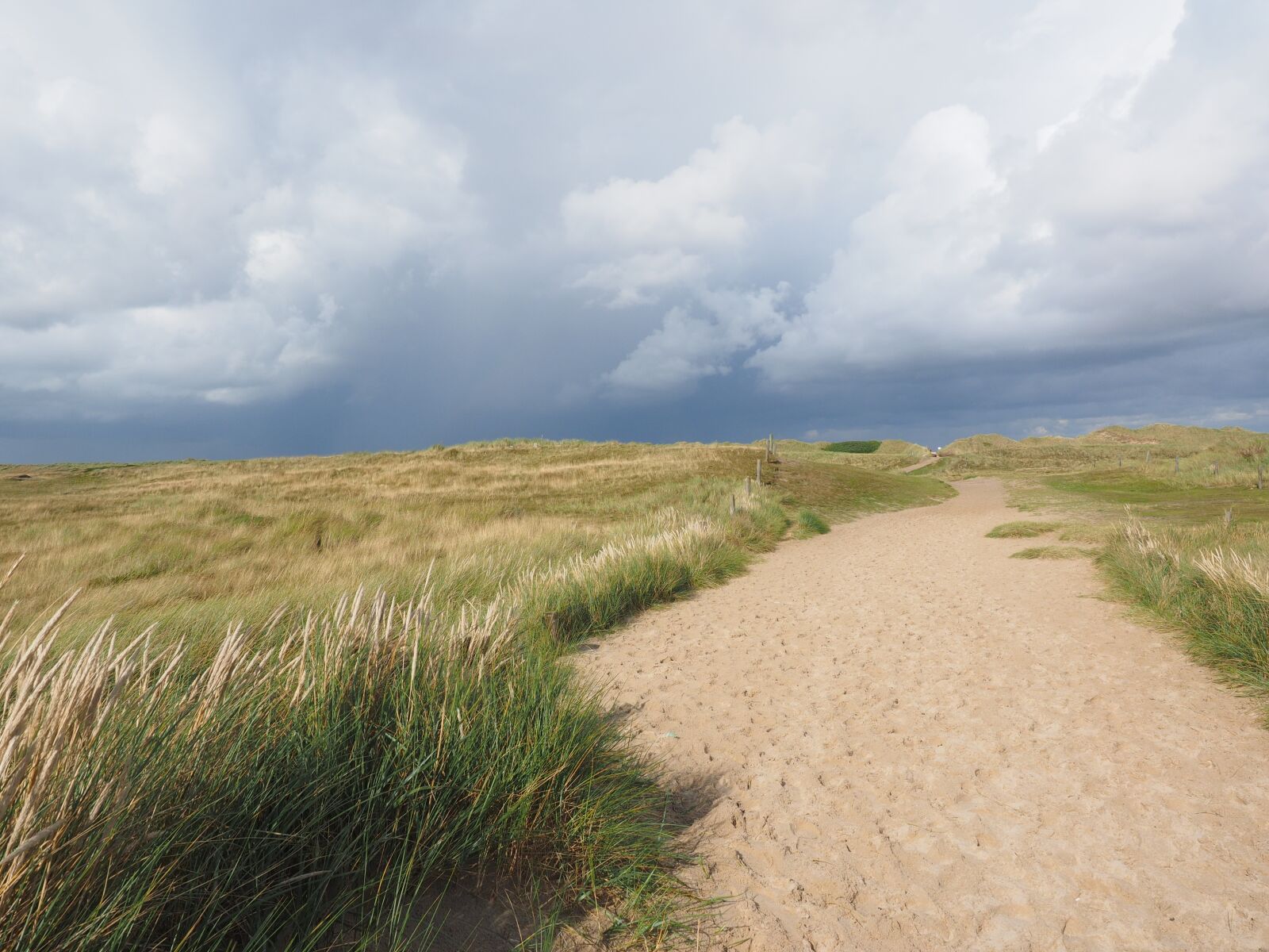 Olympus OM-D E-M1 + Olympus M.Zuiko Digital ED 12-40mm F2.8 Pro sample photo. Dune landscape, trail, sylt photography