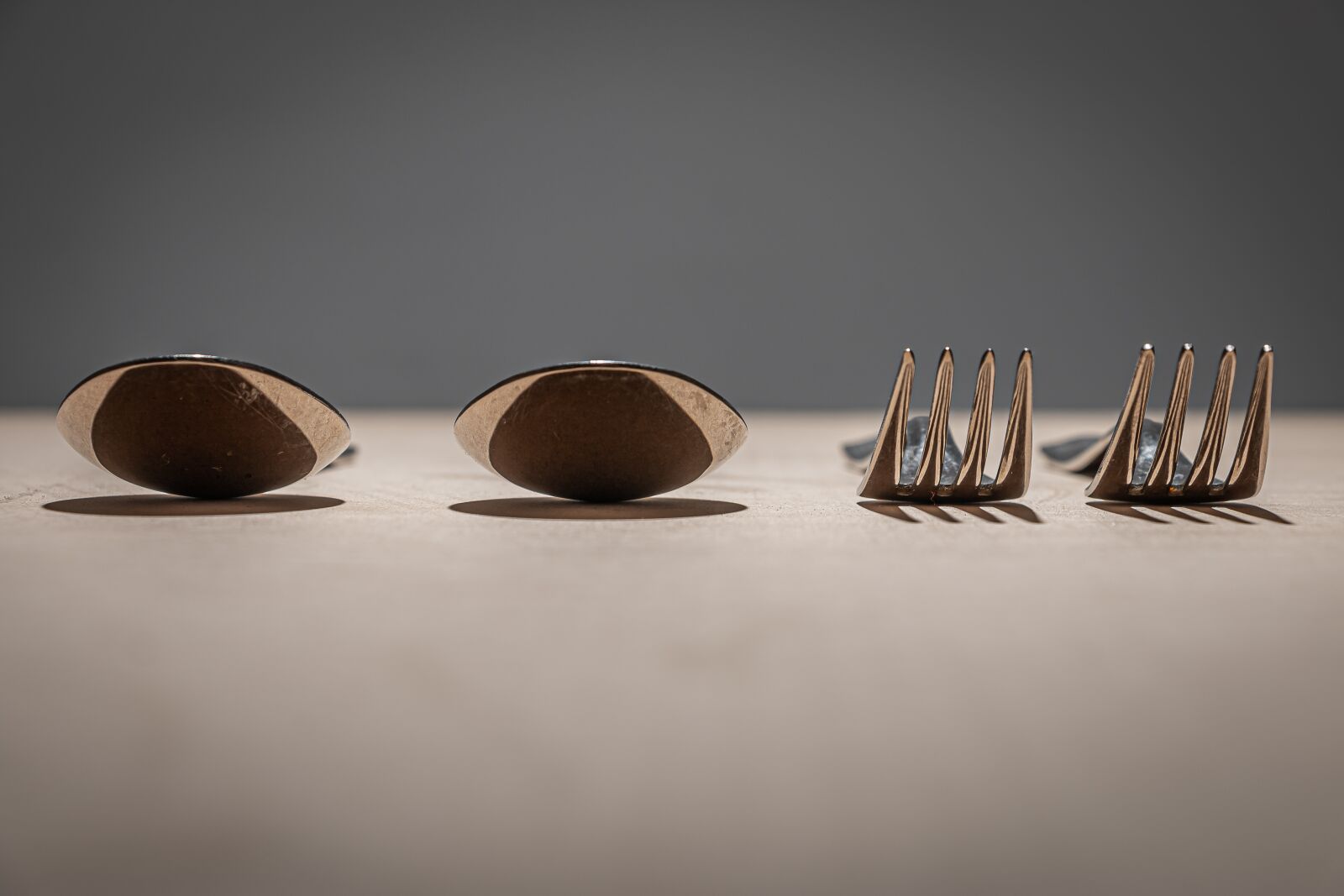 Canon EOS 70D sample photo. Cutlery, spoon, fork photography
