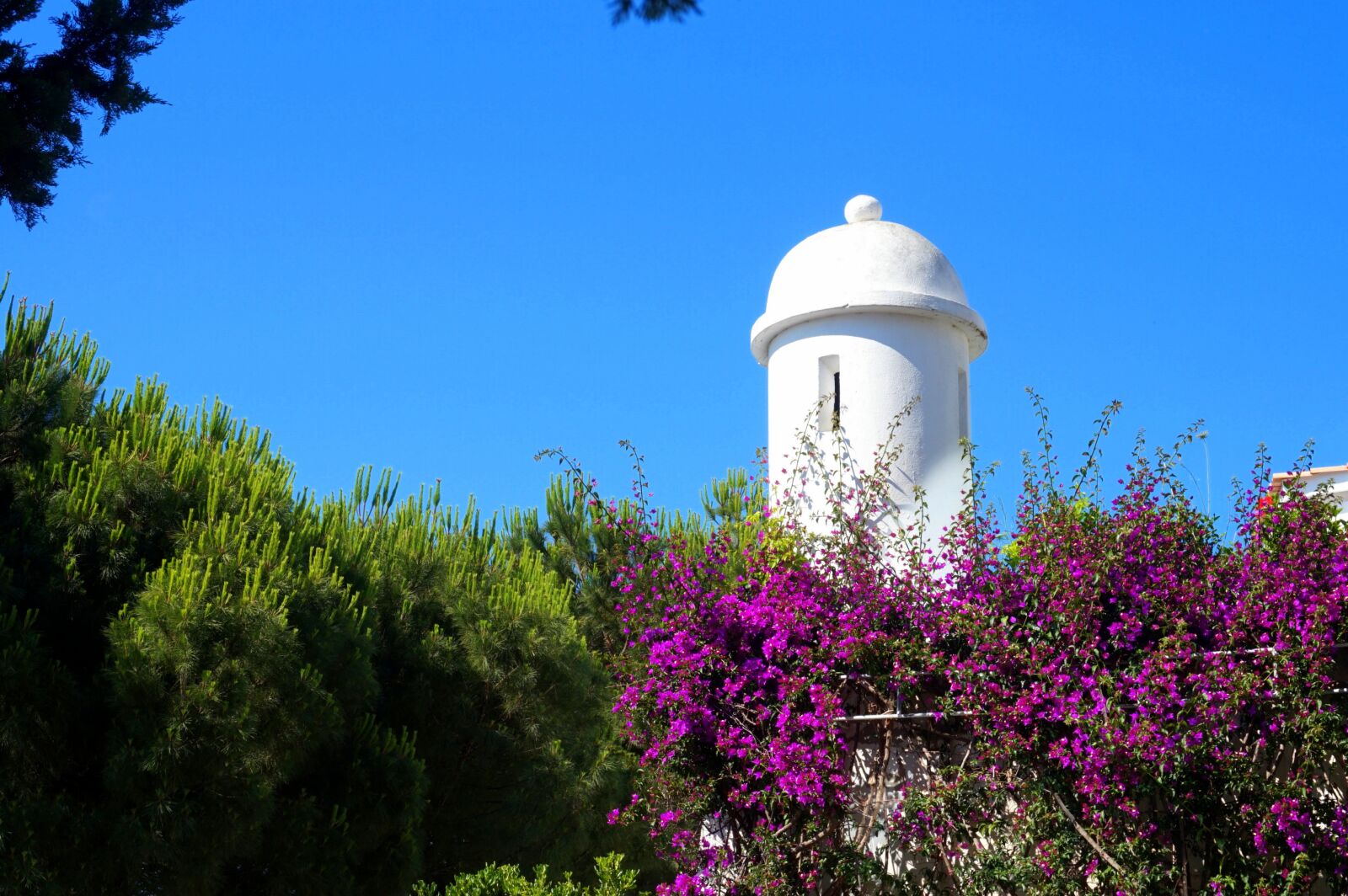 Sony Alpha a5000 (ILCE 5000) sample photo. Tree, sky, architecture photography