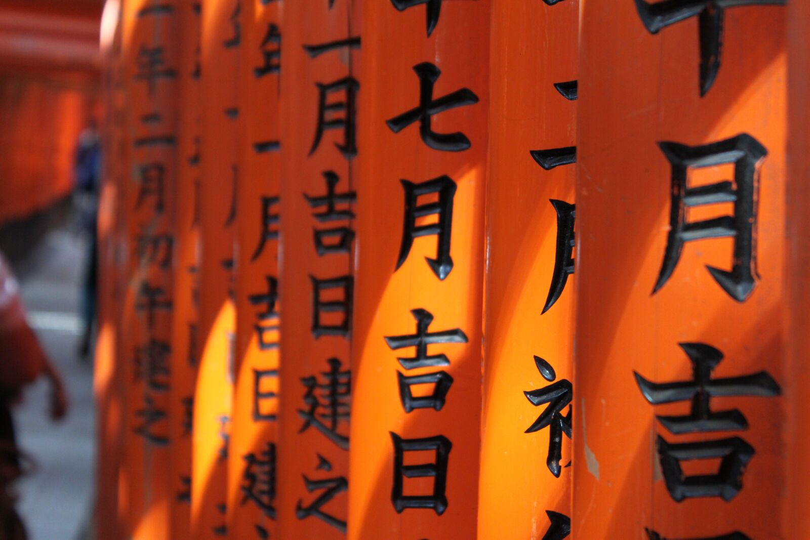 Canon EOS 500D (EOS Rebel T1i / EOS Kiss X3) sample photo. Fushimi inari shrine, orange photography