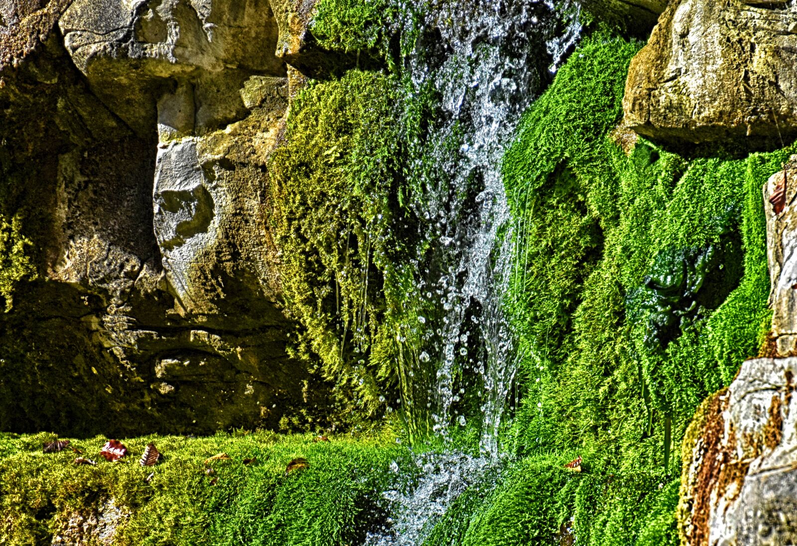 Nikon D7200 sample photo. Nature, rock, moss photography