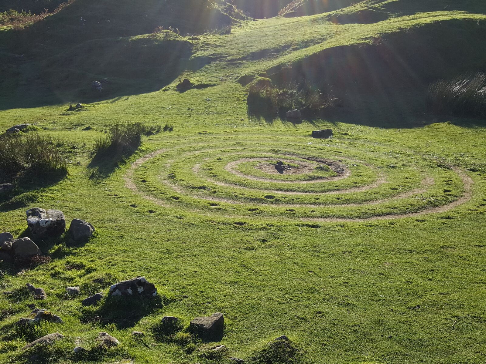 Samsung Galaxy S6 sample photo. Circles, green, nature photography