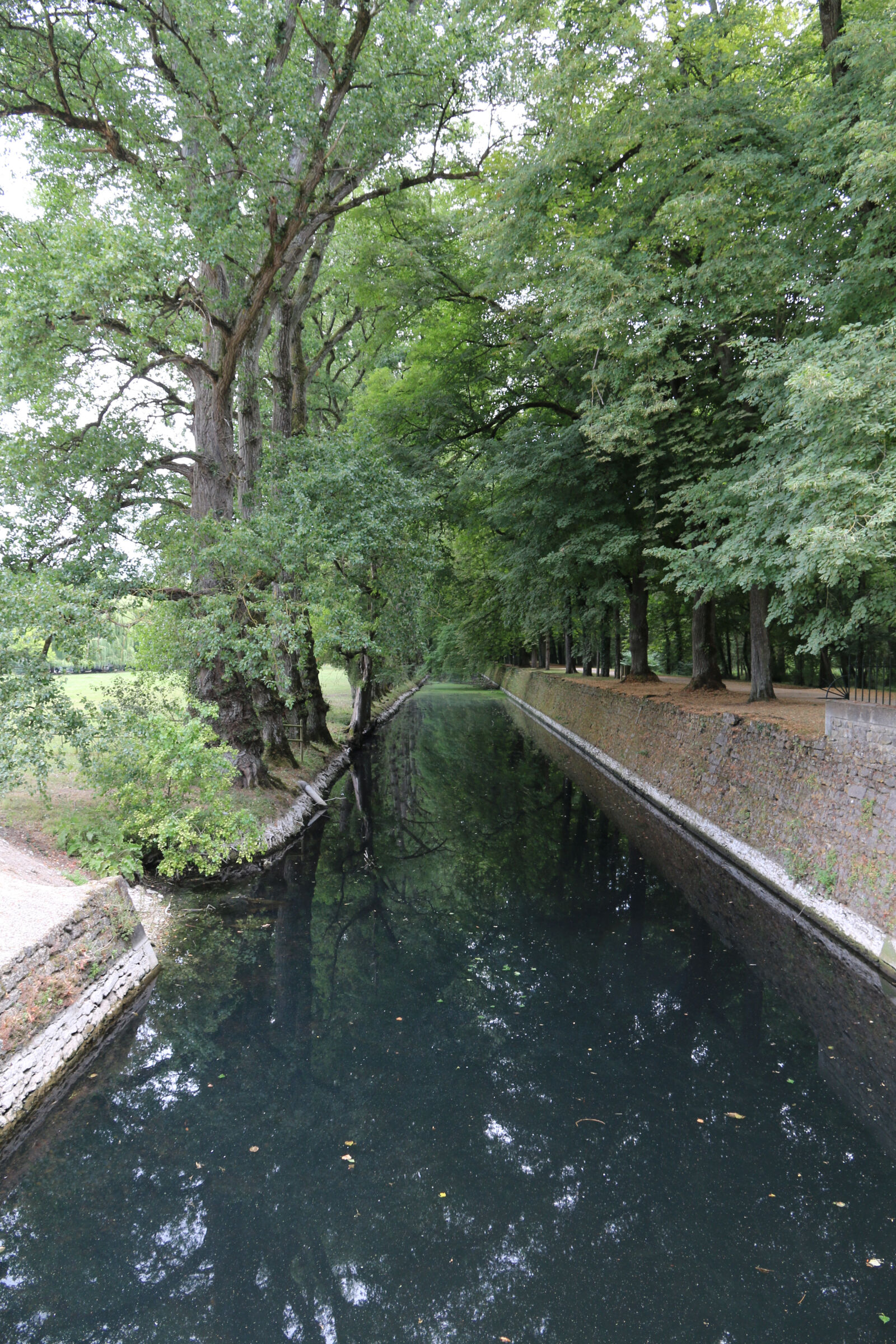 Canon EOS 70D sample photo. Forest, green, water photography