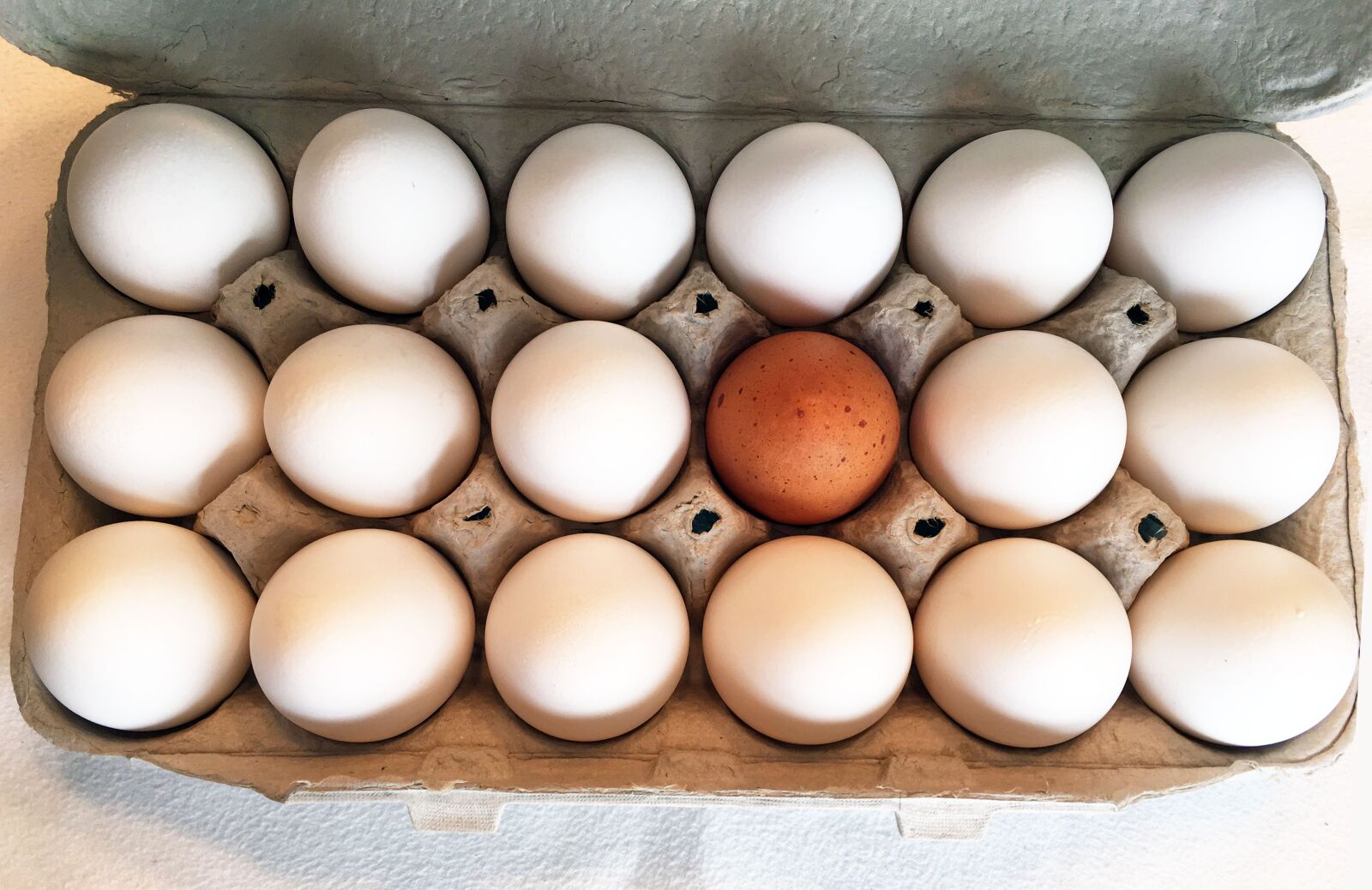 Apple iPhone 6s Plus sample photo. Egg carton, eggs, food photography