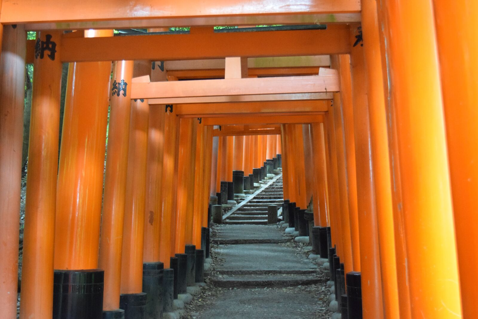 Nikon D3300 sample photo. Kyoto, fushimi inari shrine photography